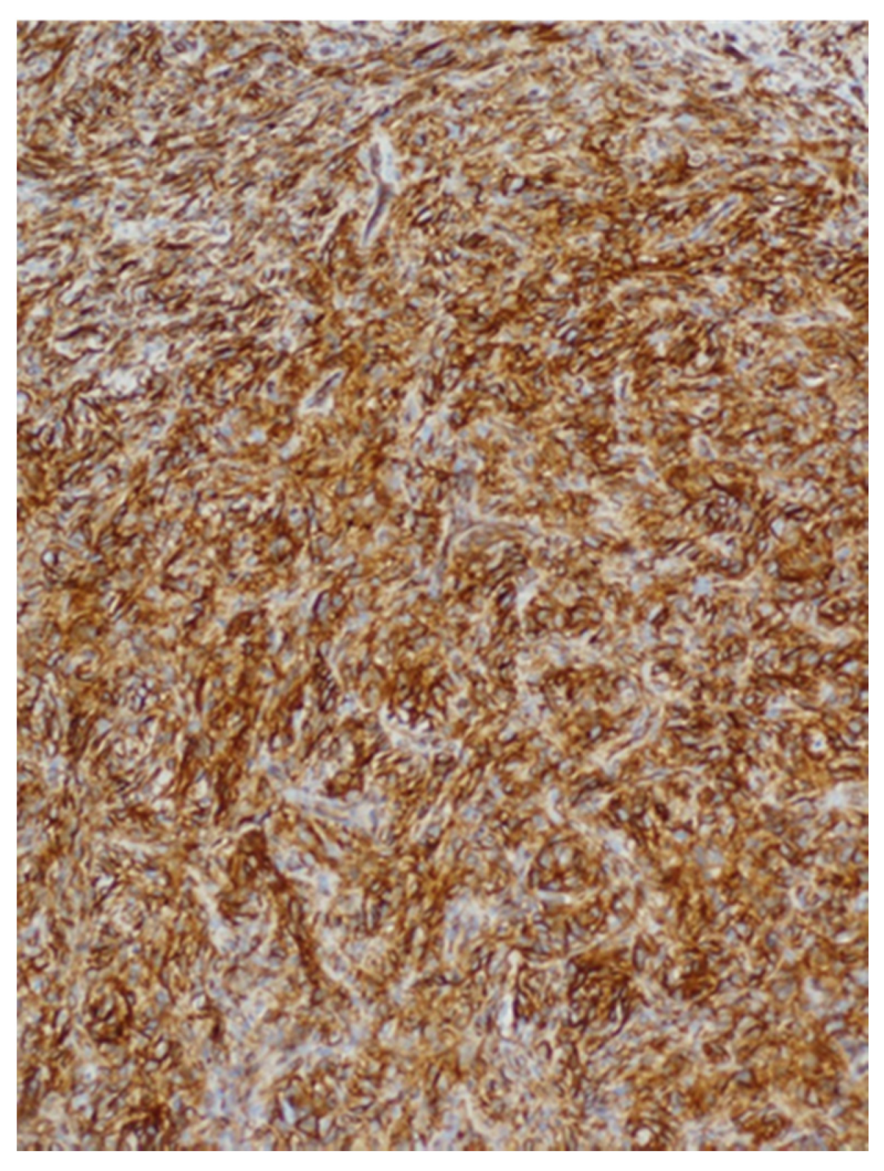 Medicina 57 00152 g005 Medicina 57 00152 g005