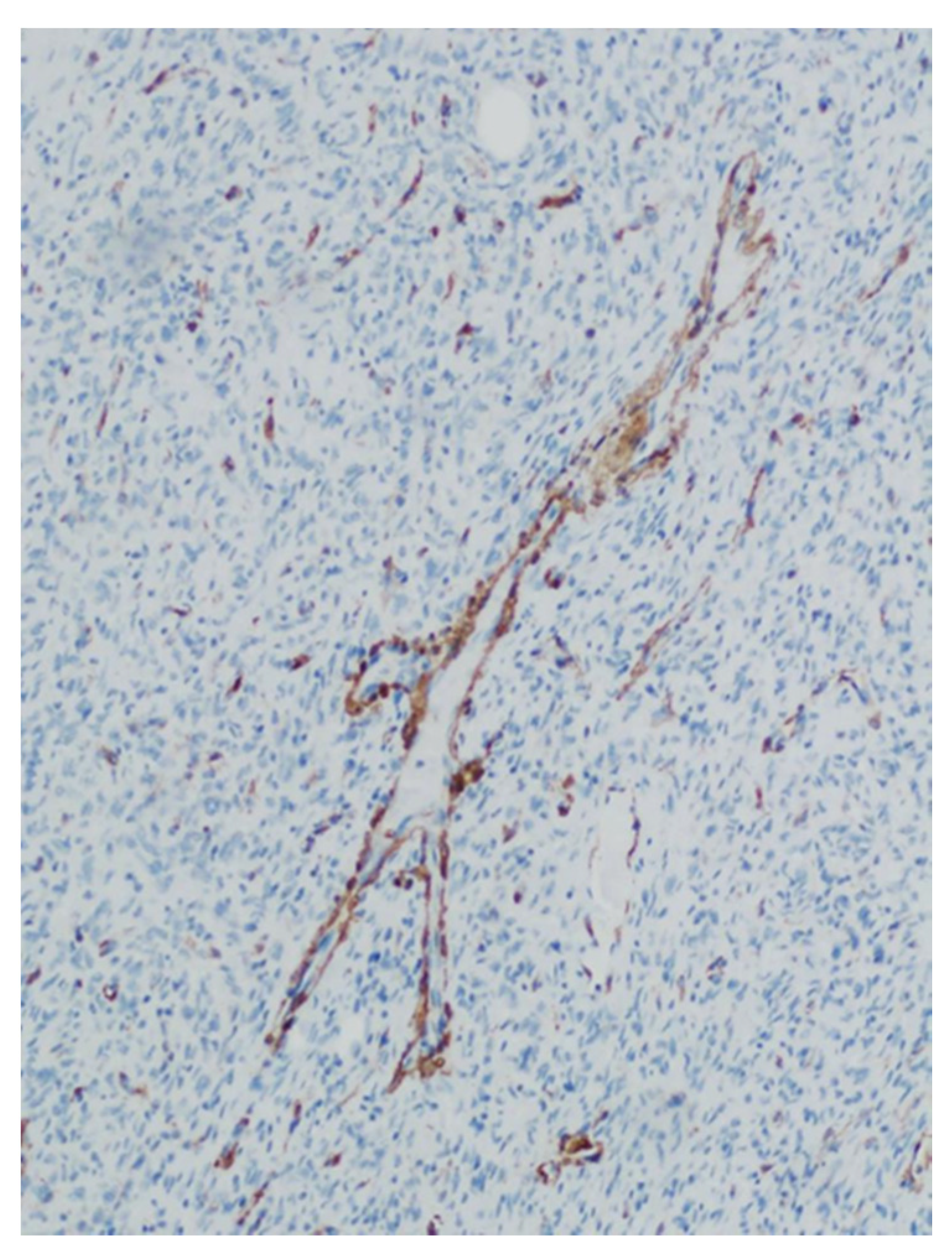 Medicina 57 00152 g006 Medicina 57 00152 g006