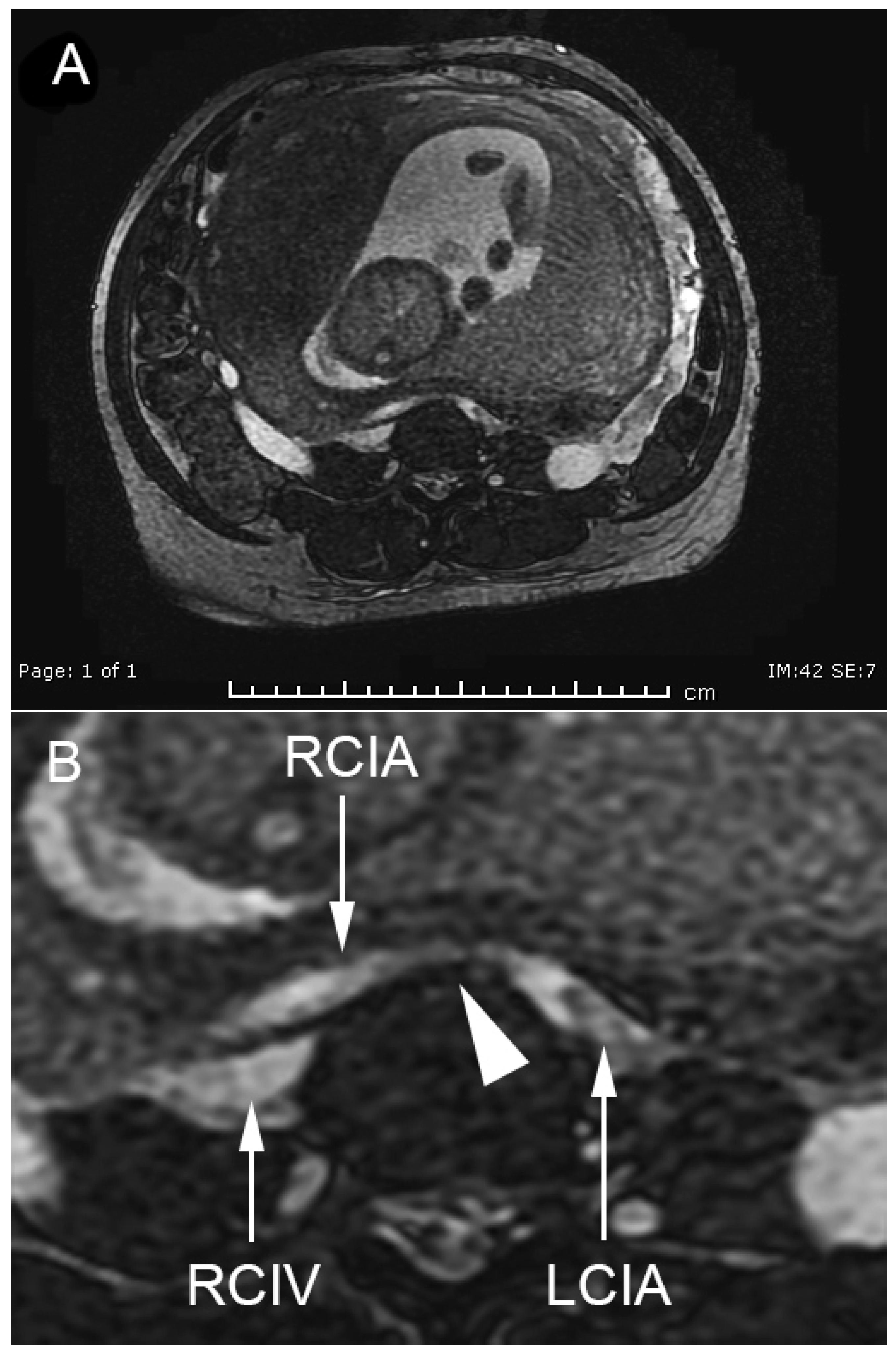 Medicina 57 00222 g001 Medicina 57 00222 g001