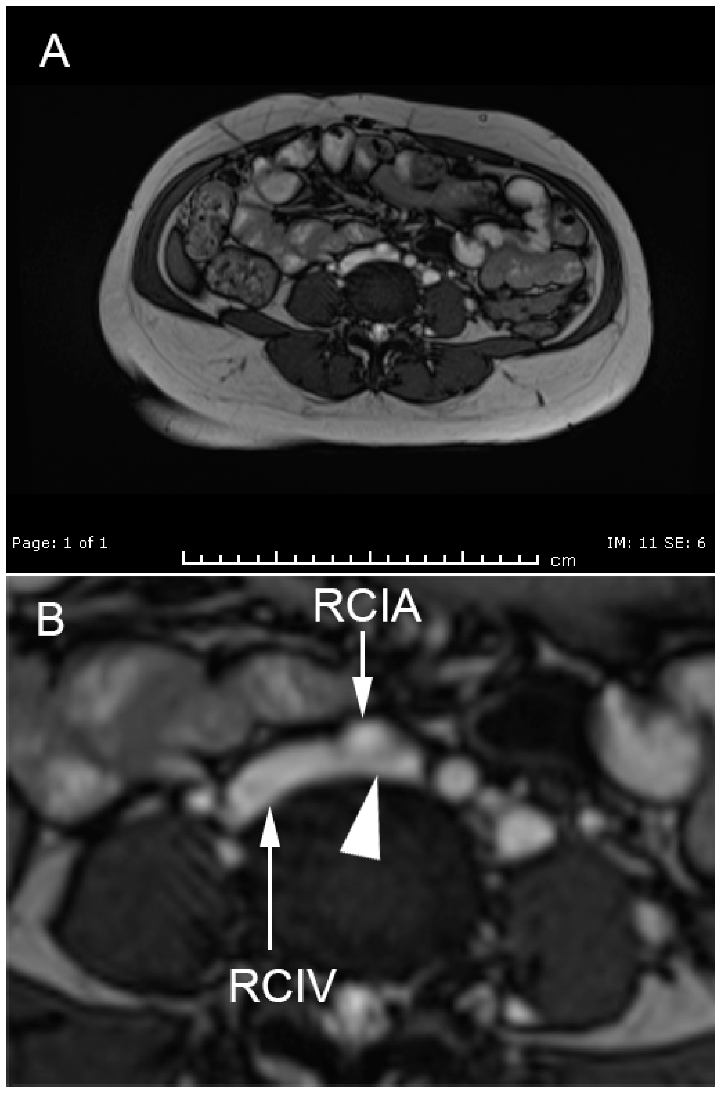 Medicina 57 00222 g002 Medicina 57 00222 g002