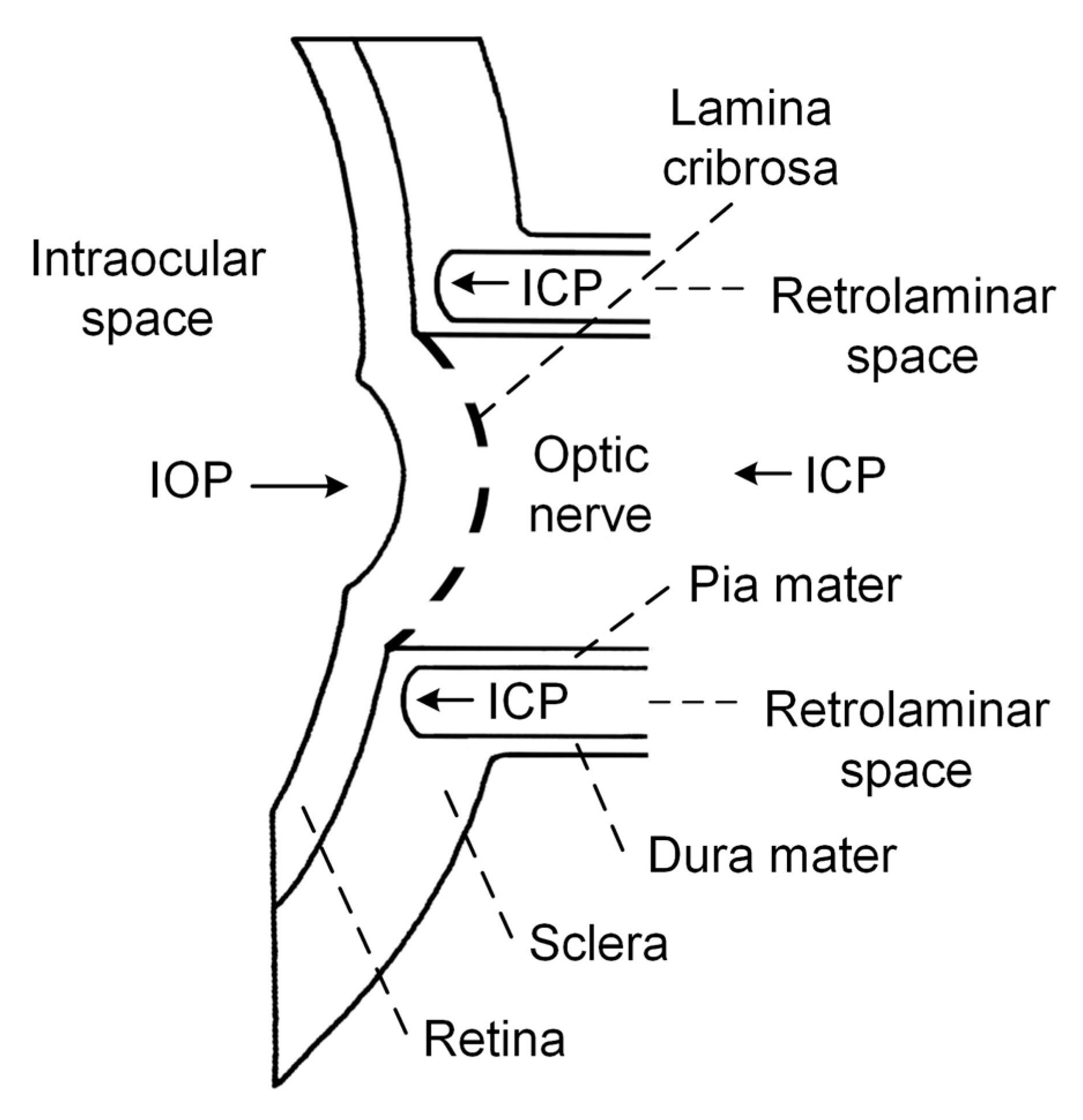 Medicina 57 00234 g001