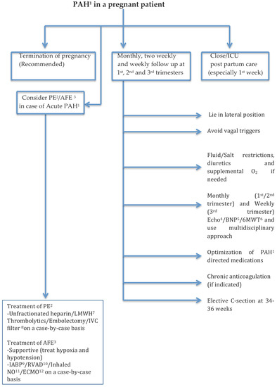 Medicina | Free Full-Text | Pulmonary Hypertension in Pregnancy: A Review