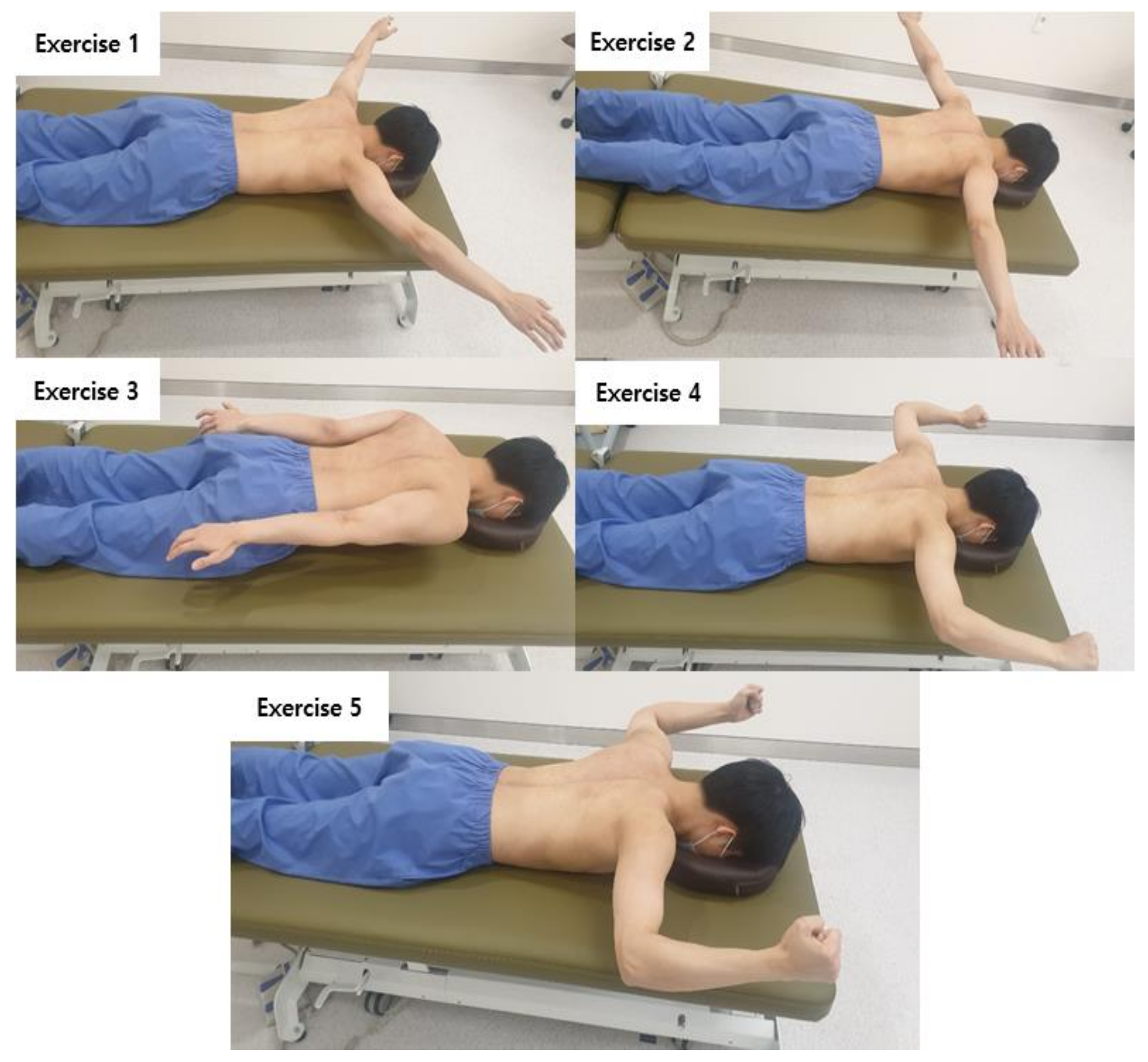 Medicina | Free Full-Text | Effects of the Proprioceptive Neuromuscular  Facilitation Technique on Scapula Function in Office Workers with Scapula  Dyskinesis