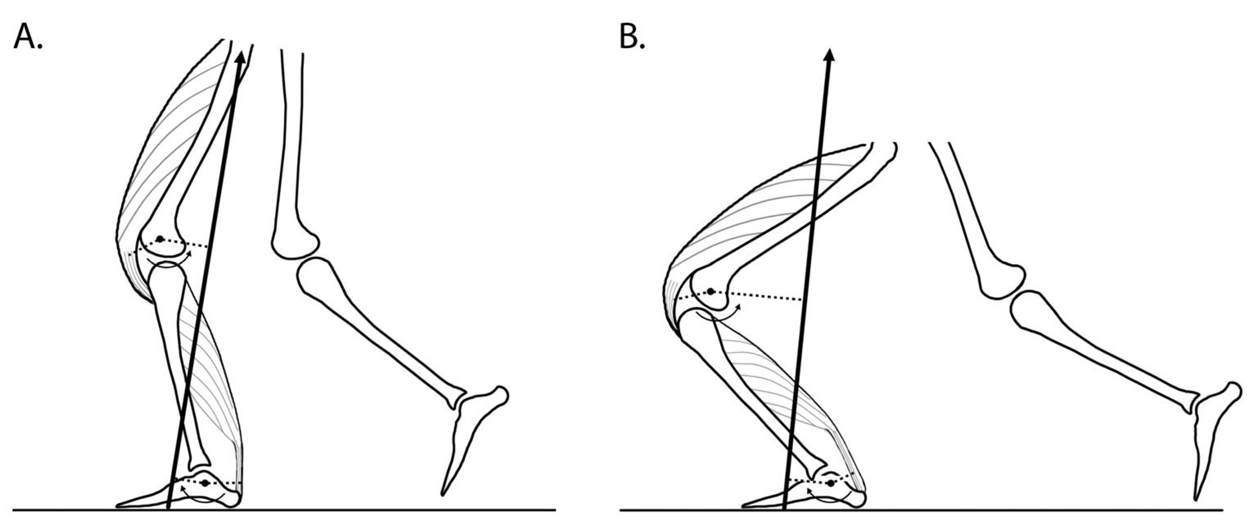 Medicina 57 00457 g003 Medicina 57 00457 g003