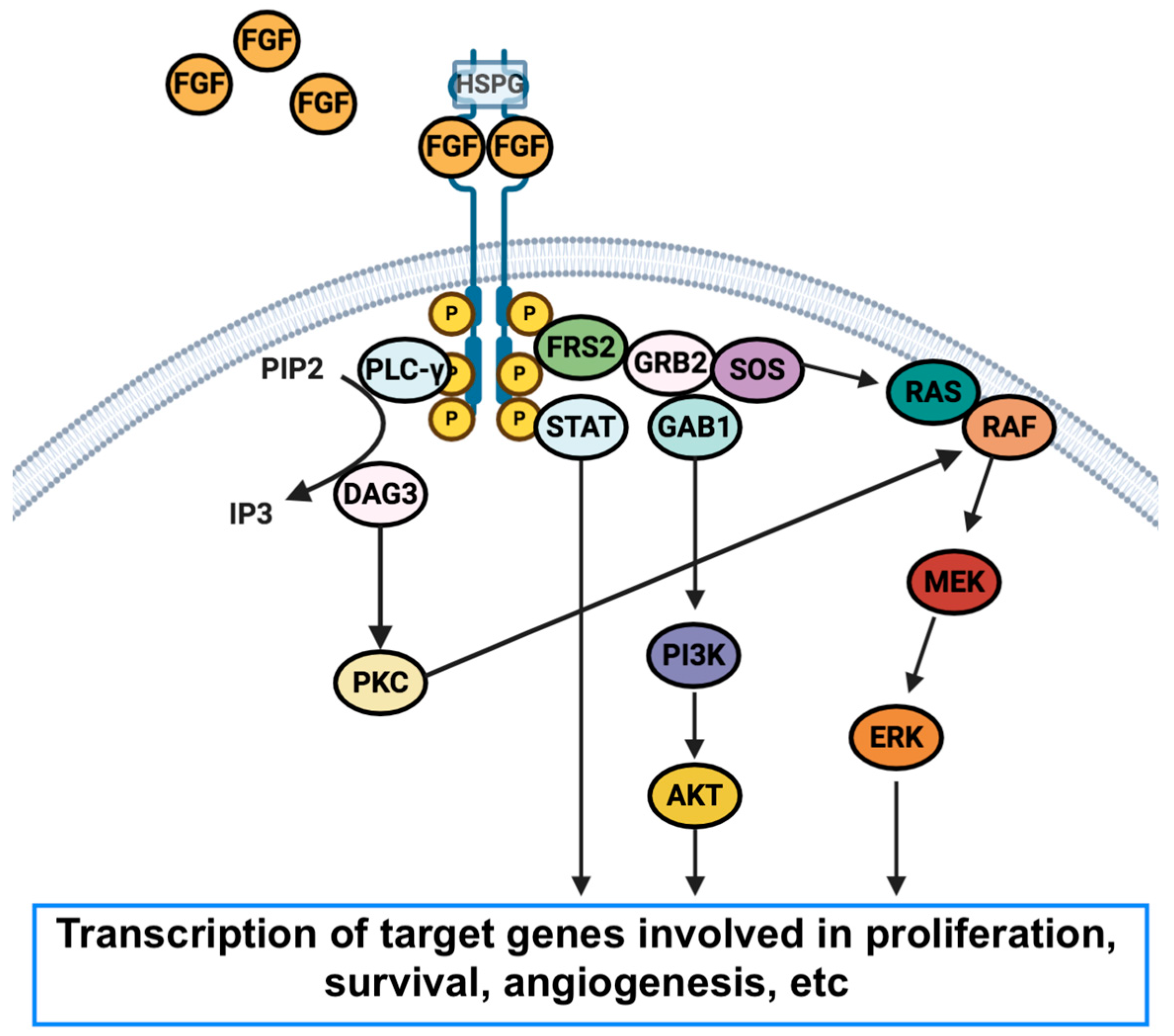 Medicina 57 00458 g002