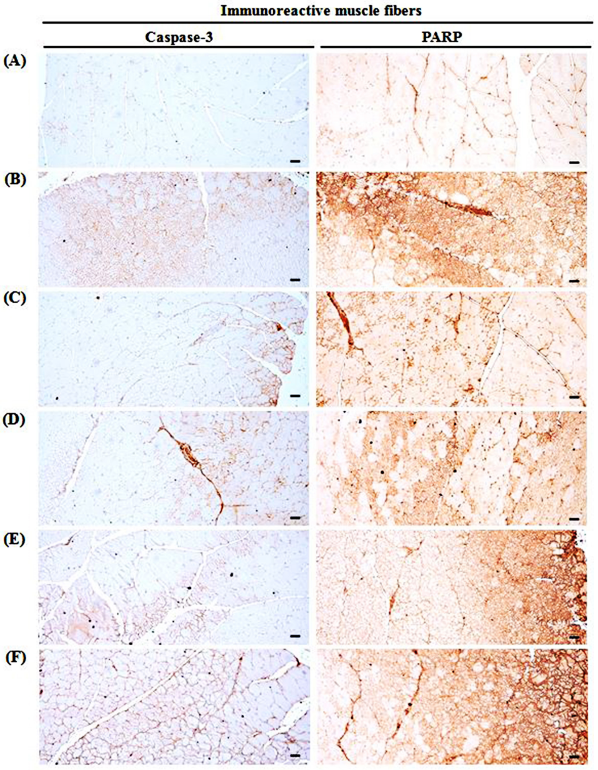 Medicina 57 00485 g008 Medicina 57 00485 g008