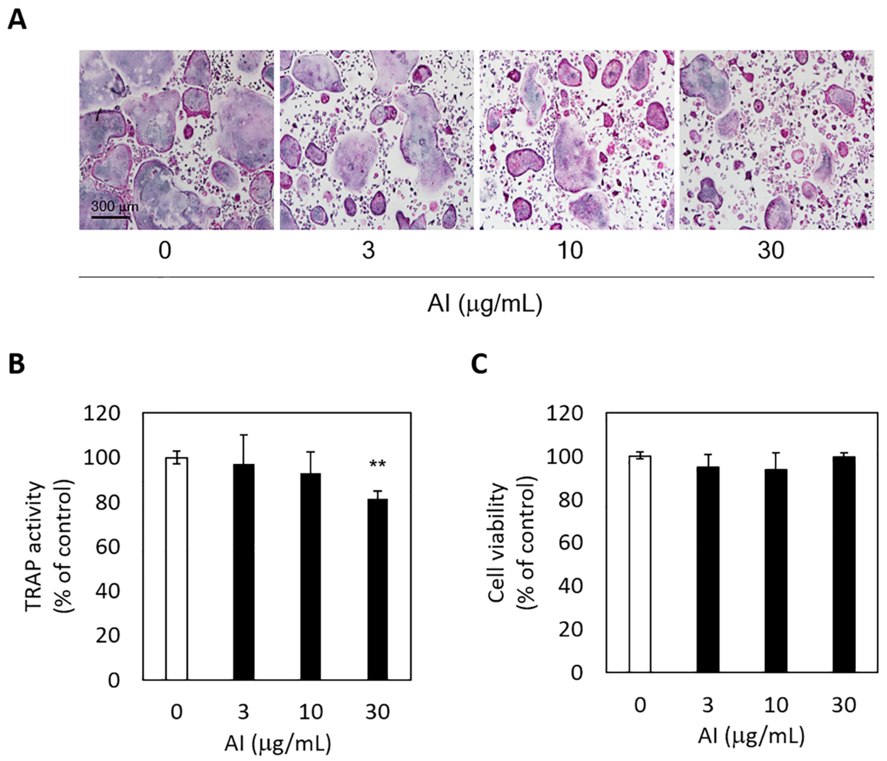 Medicina 57 00641 g004 Medicina 57 00641 g004