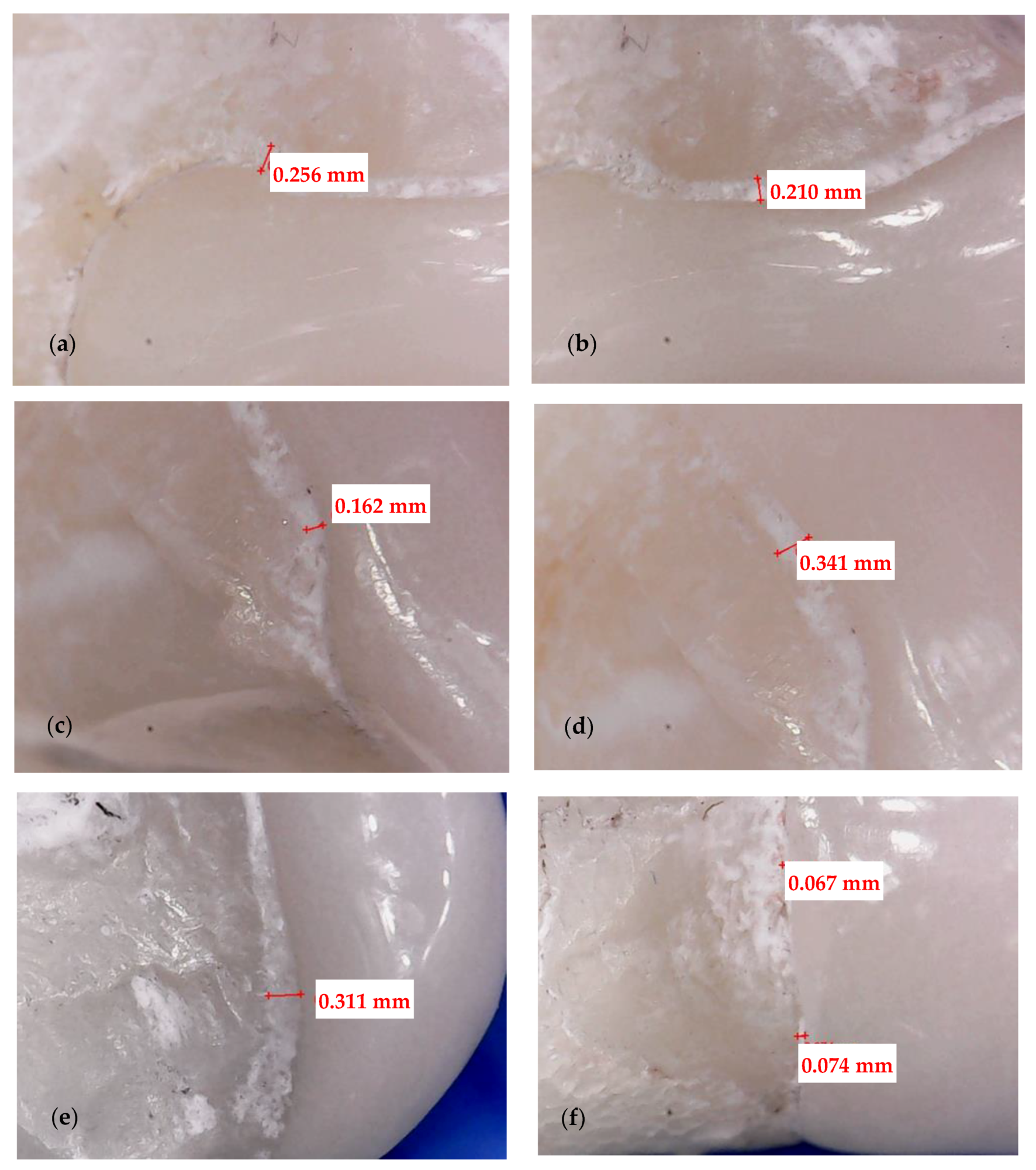 Medicina 57 00772 g004