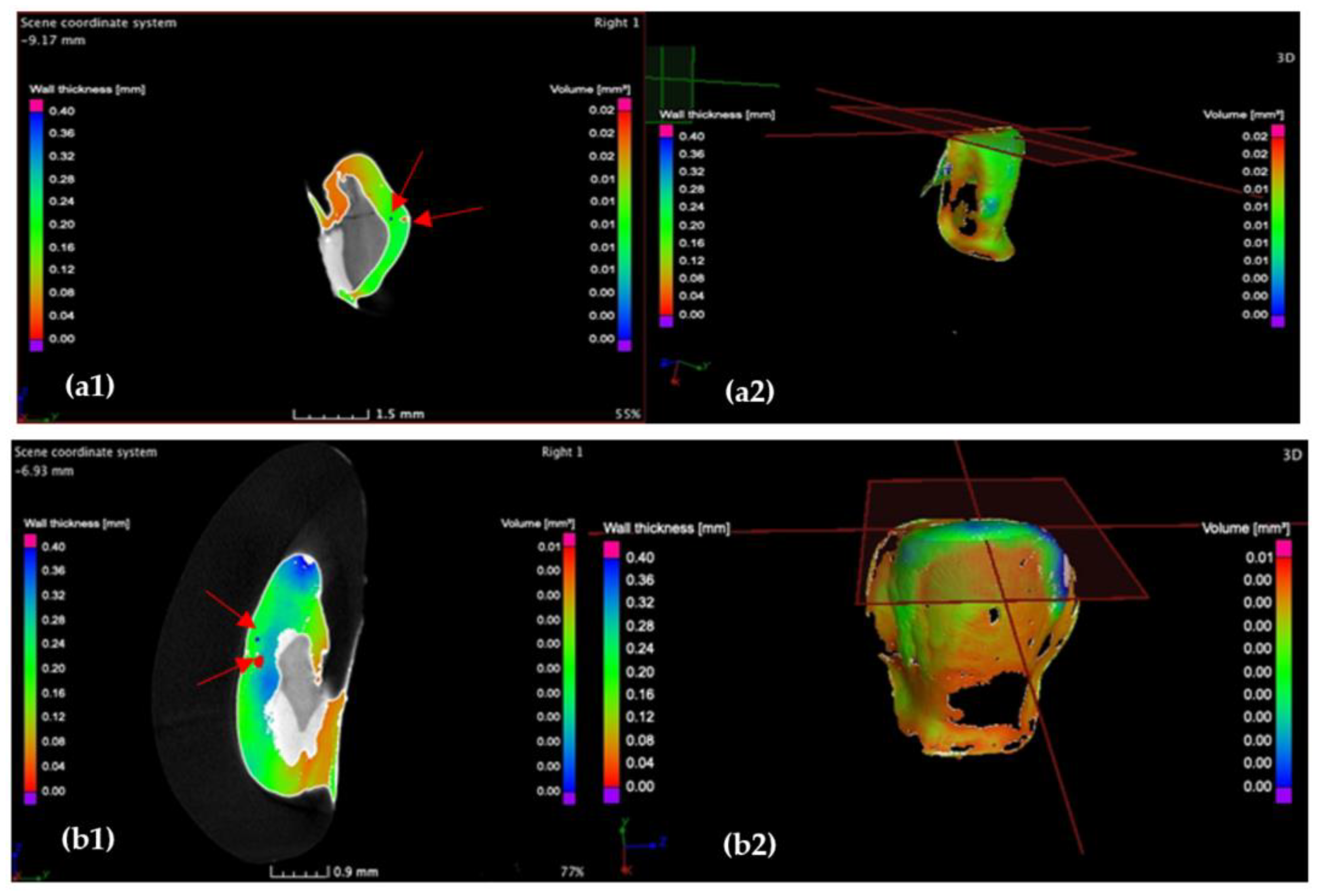 Medicina 57 00772 g010