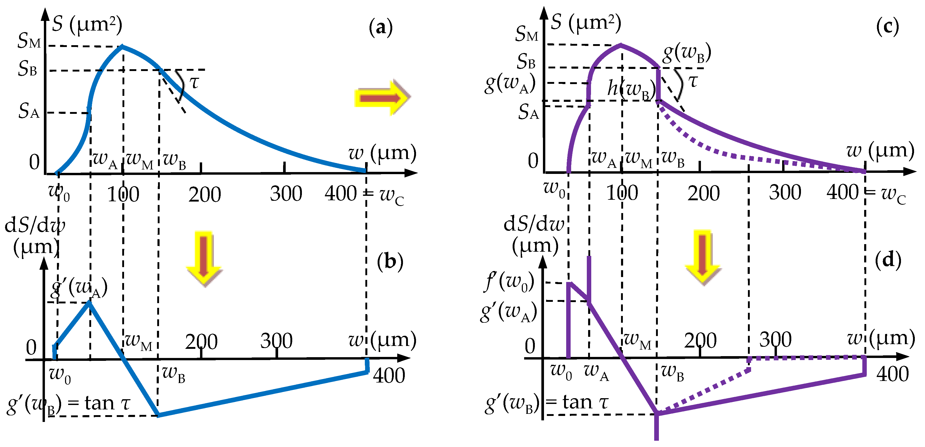 Medicina 57 00772 g016