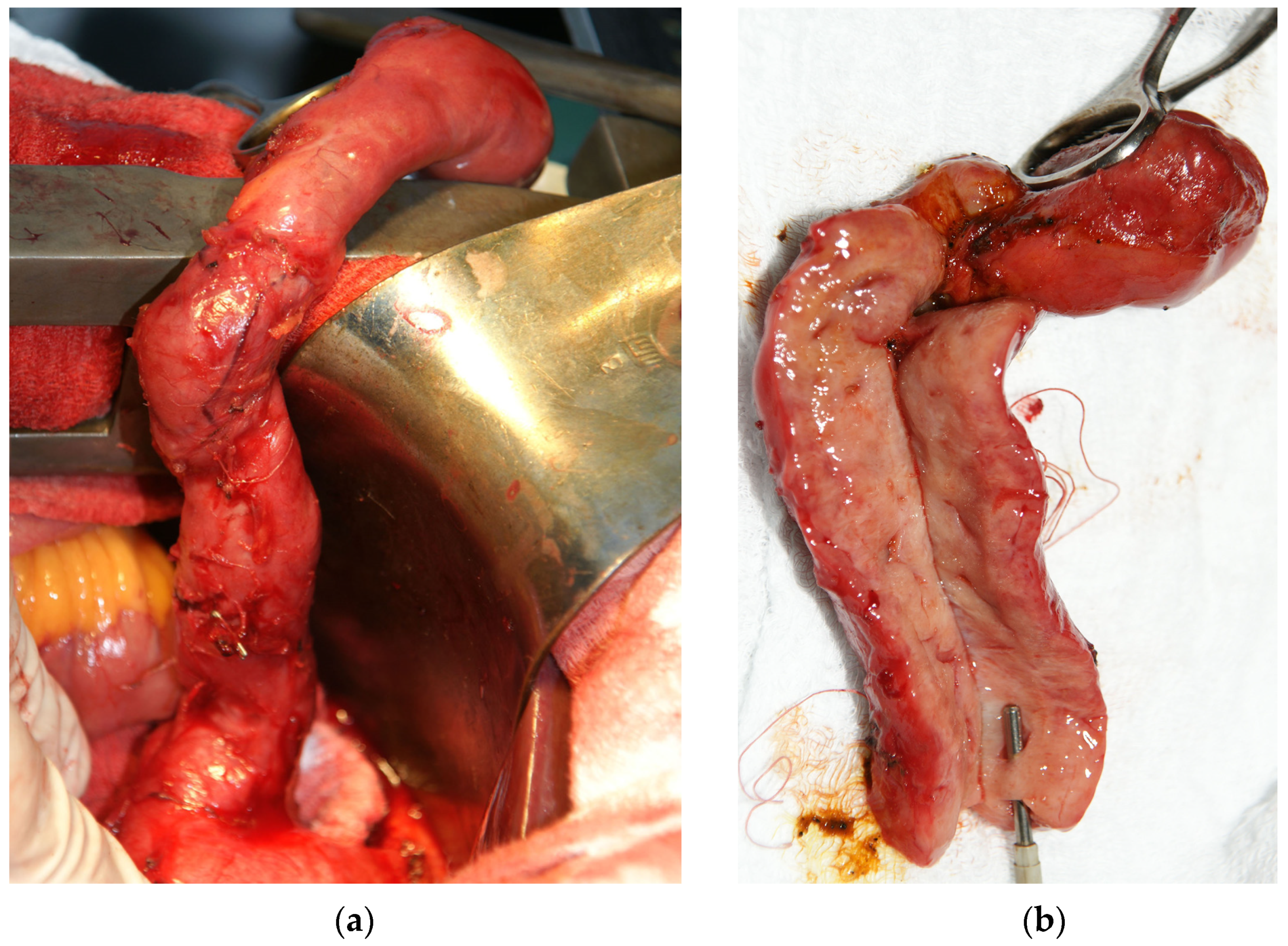 Medicina 57 00824 g001