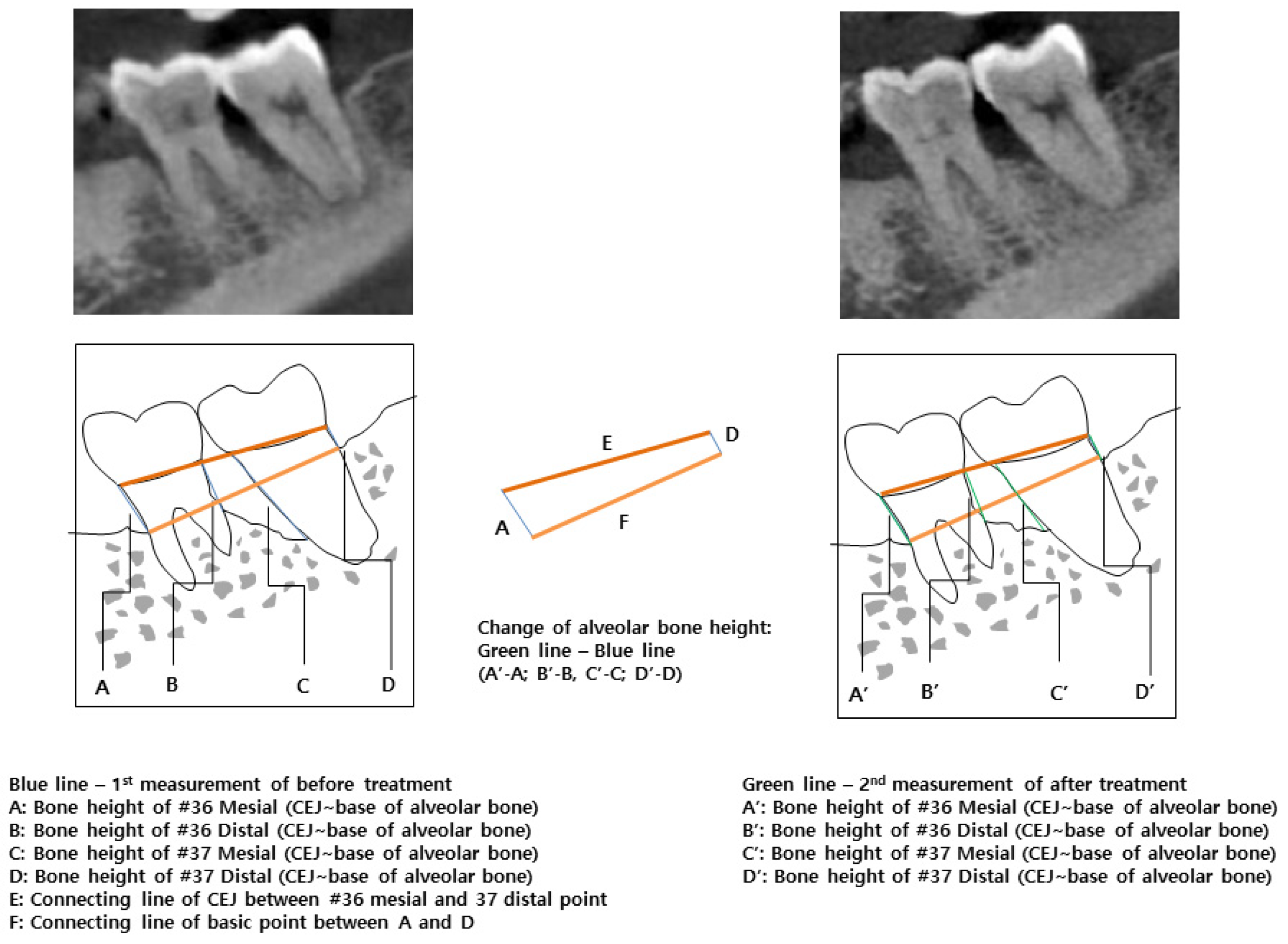Medicina 57 00869 g003