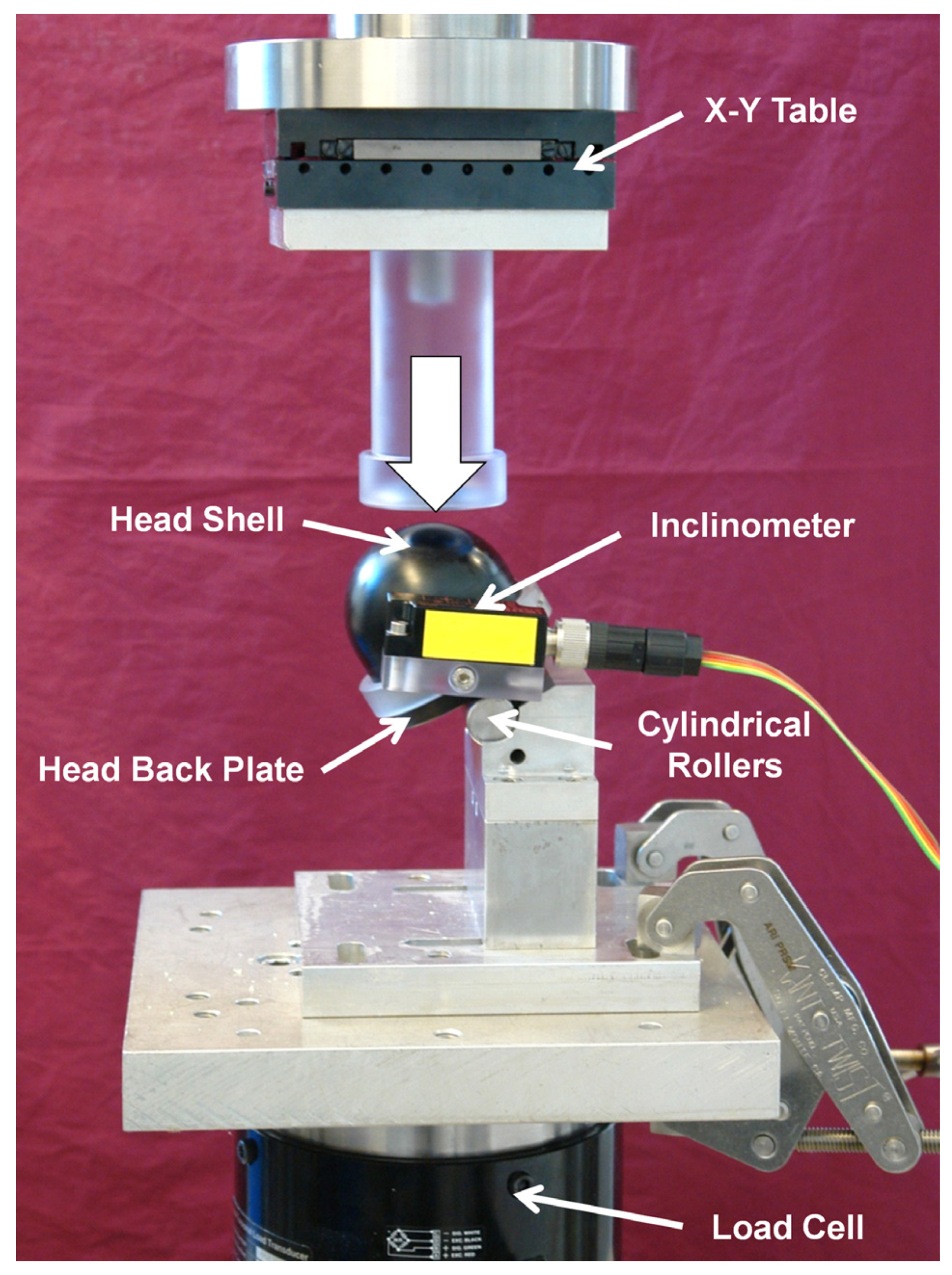 Medicina 57 00899 g003