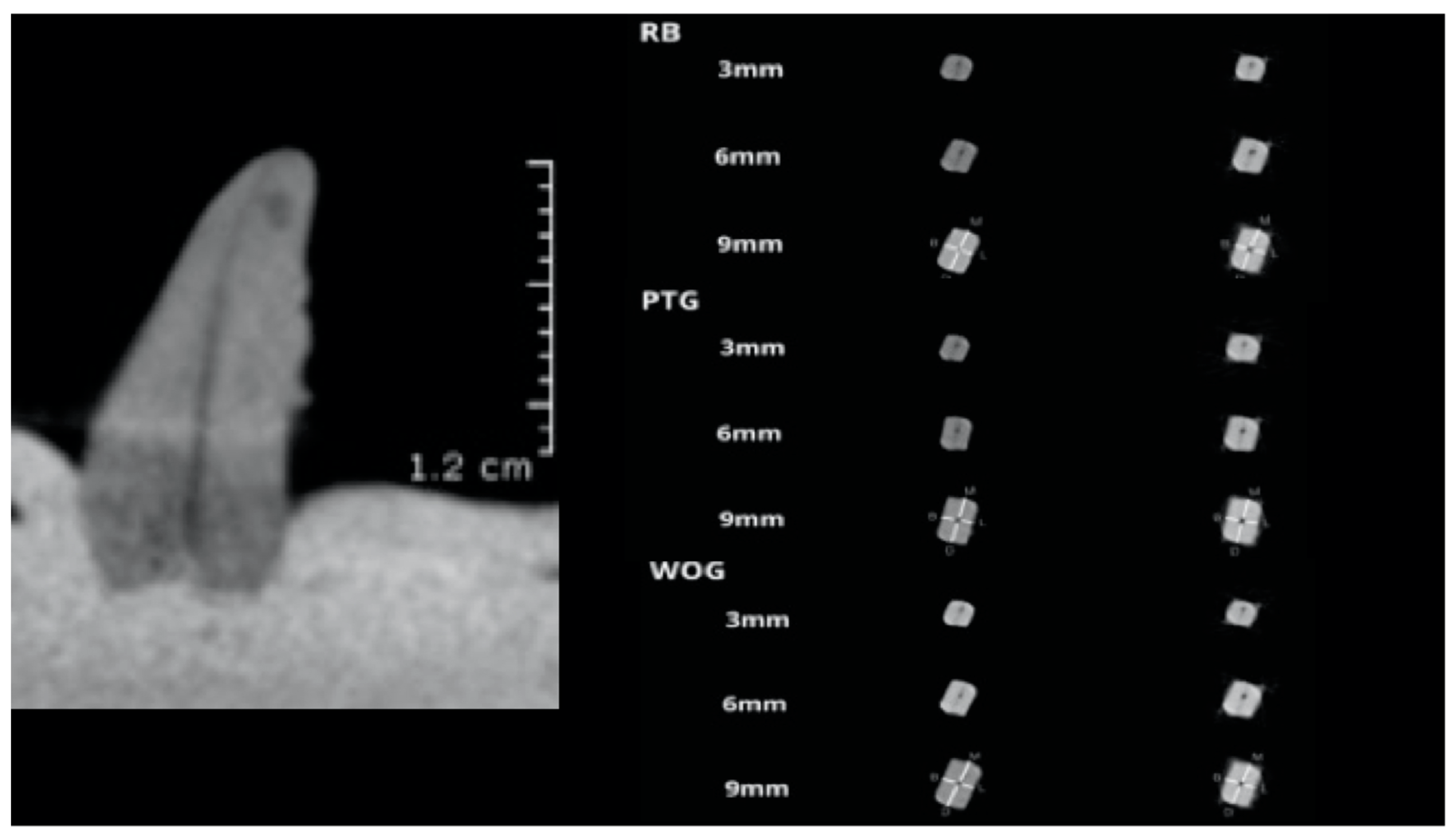 Medicina 57 00901 g002