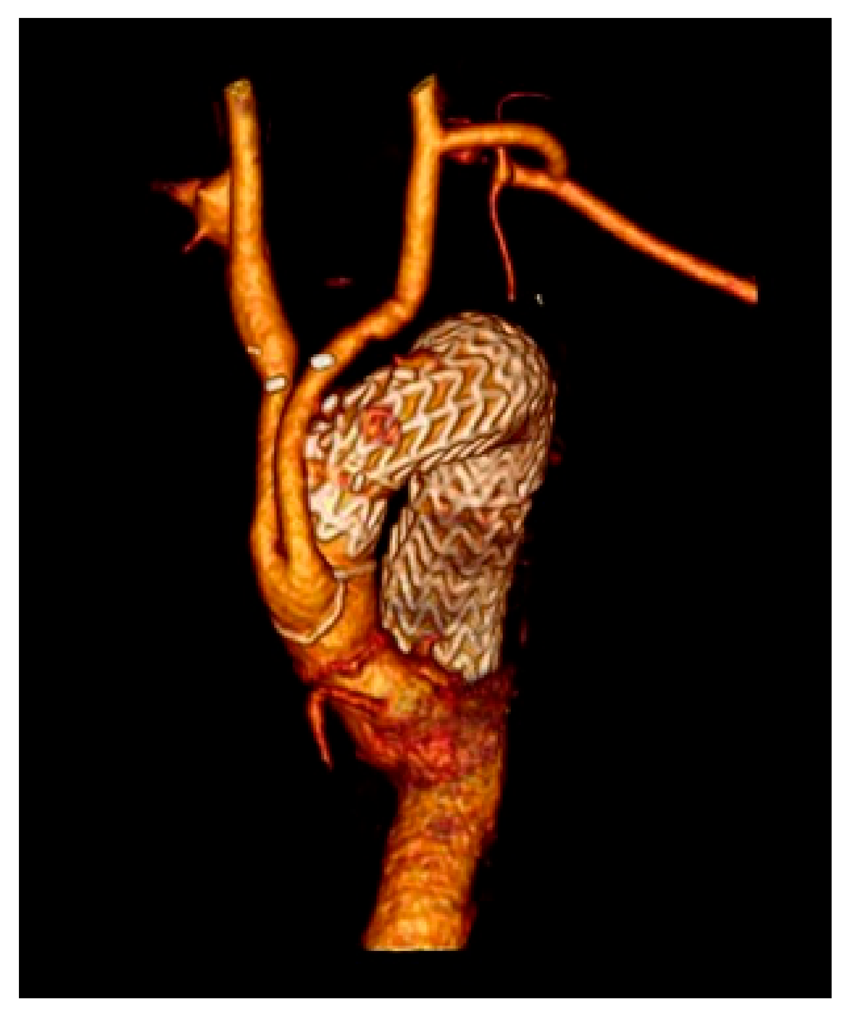 Medicina 57 00909 g004 Medicina 57 00909 g004