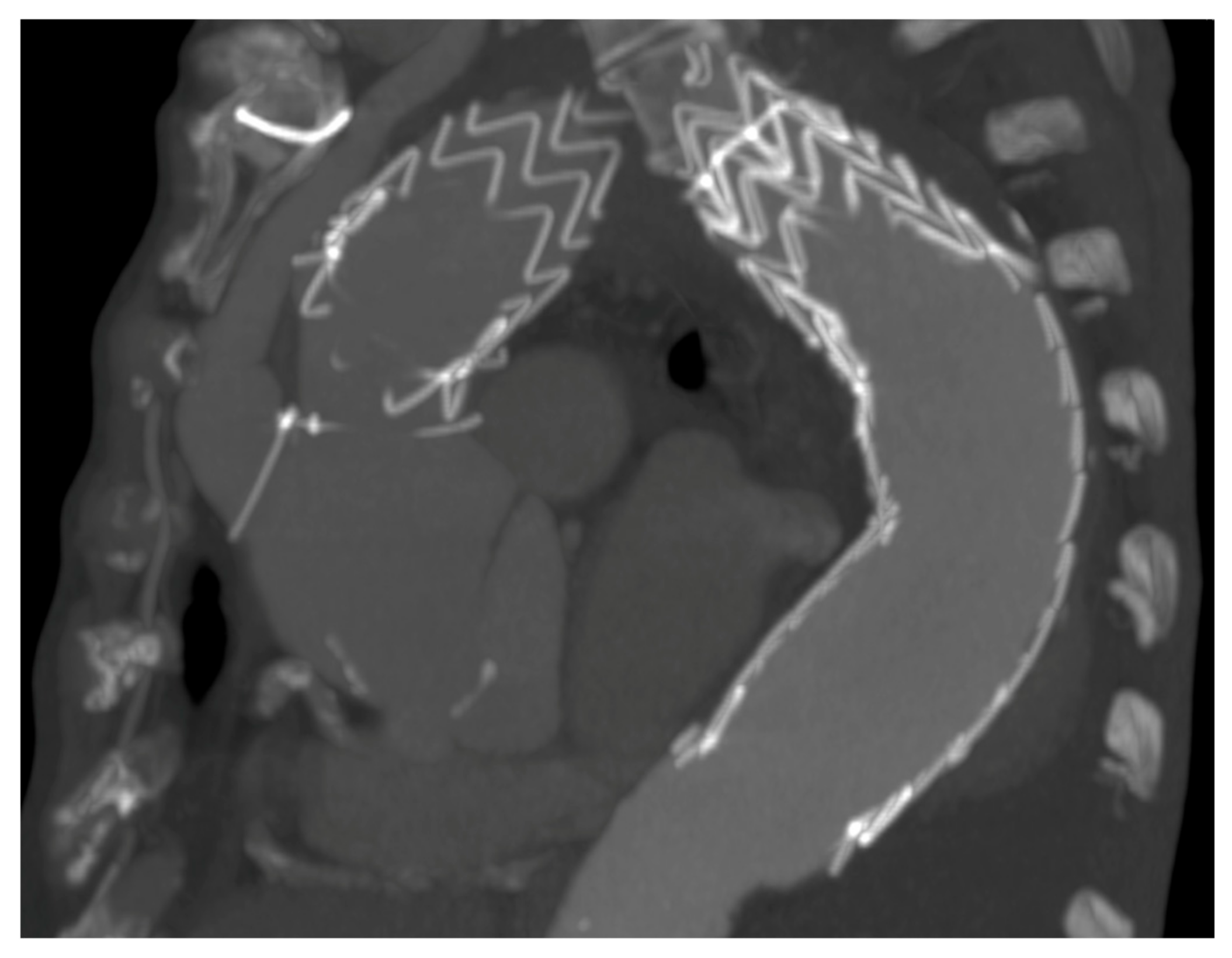 Medicina 57 00909 g005 Medicina 57 00909 g005