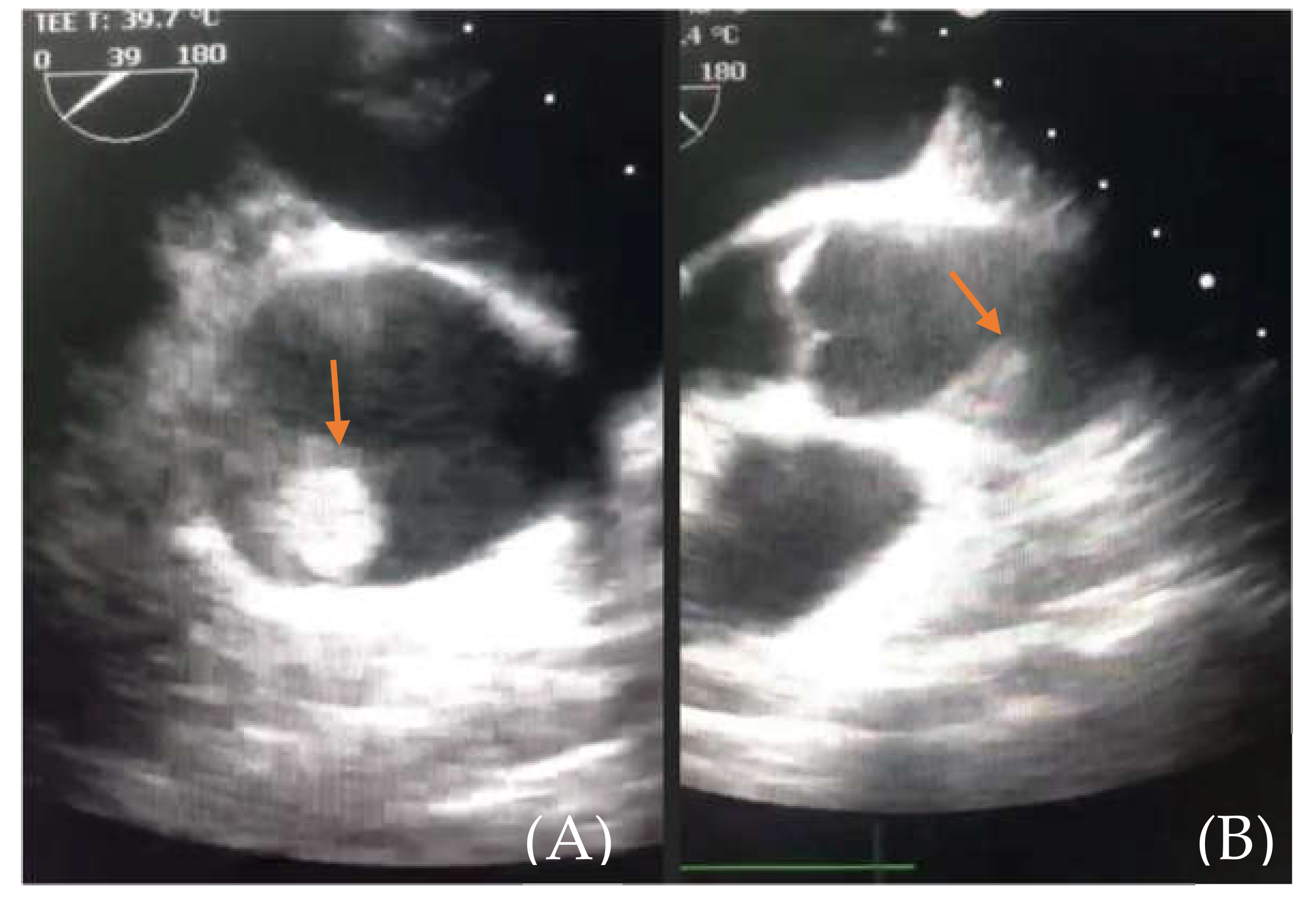 Medicina 57 01176 g004 Medicina 57 01176 g004