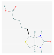 Medicina 57 01204 i008 Medicina 57 01204 i008