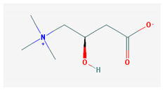 Medicina 57 01204 i011 Medicina 57 01204 i011