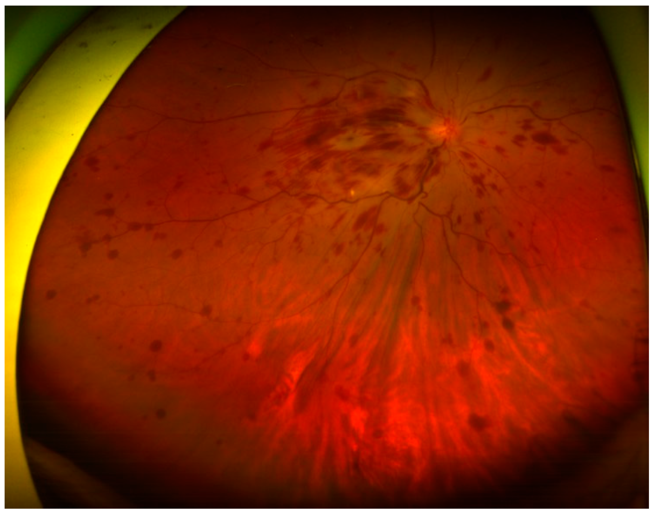 Medicina 57 01238 g001