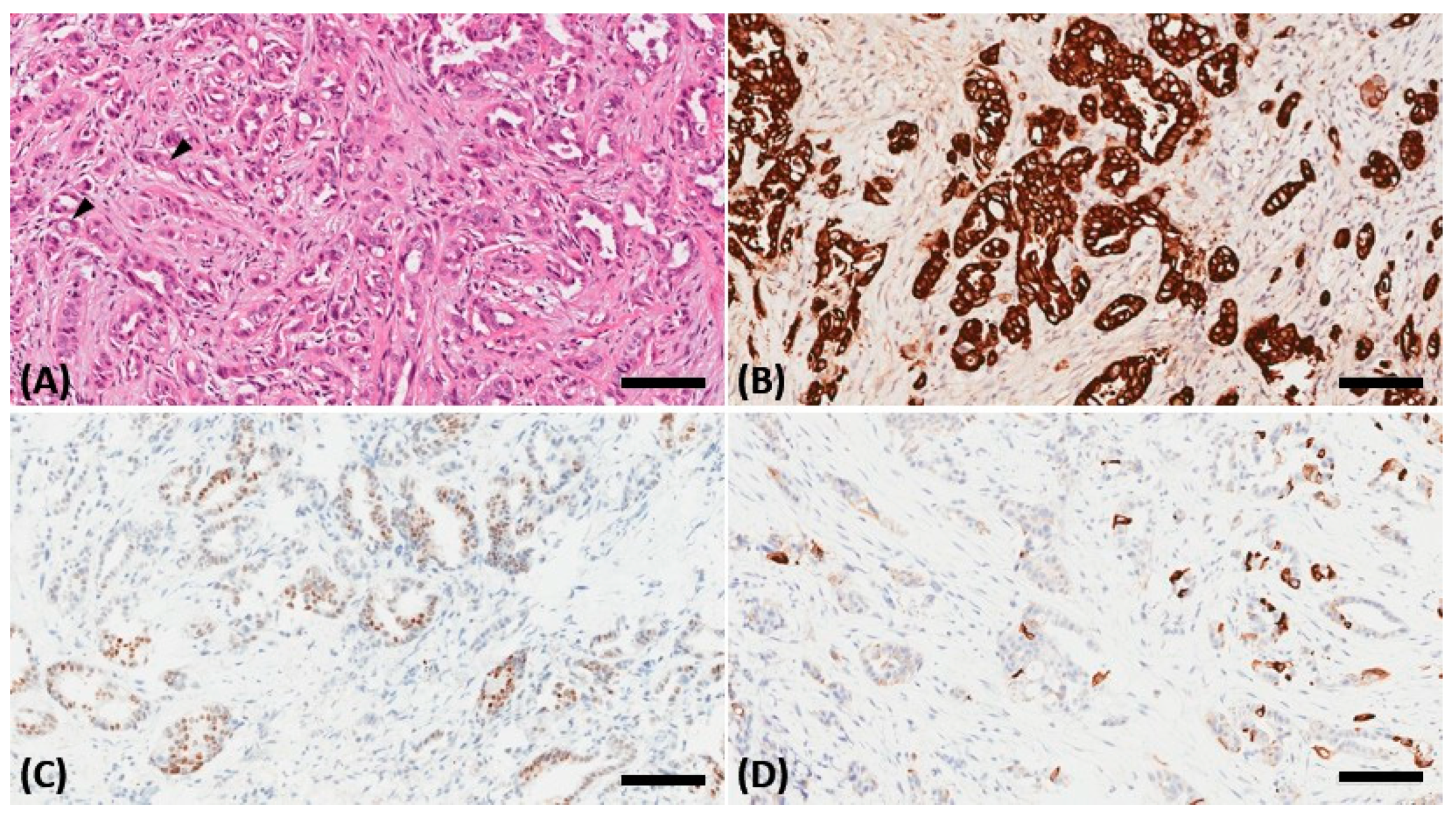 Medicina 57 01238 g003