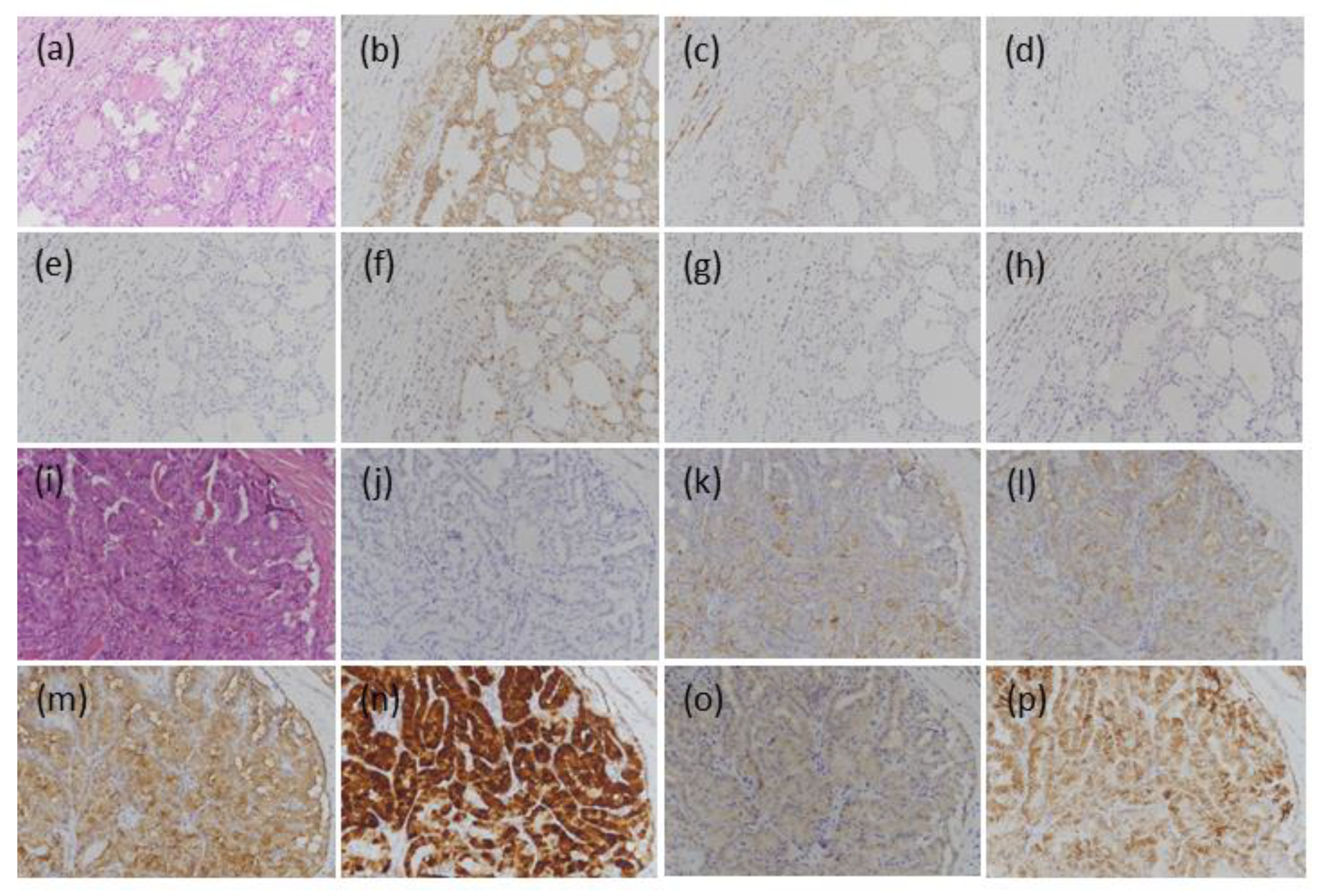 Medicina 57 01246 g002