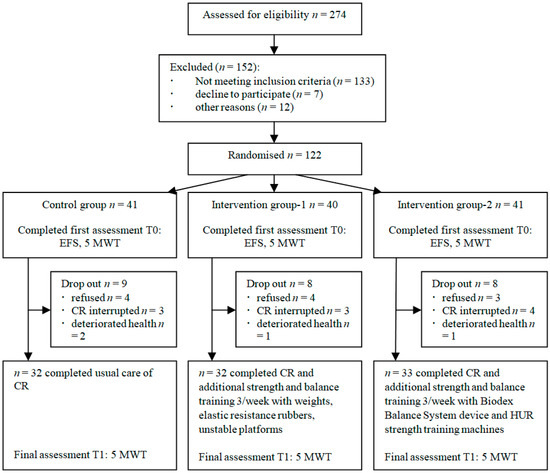 Protocol of the eight weeks balance exercise program for the