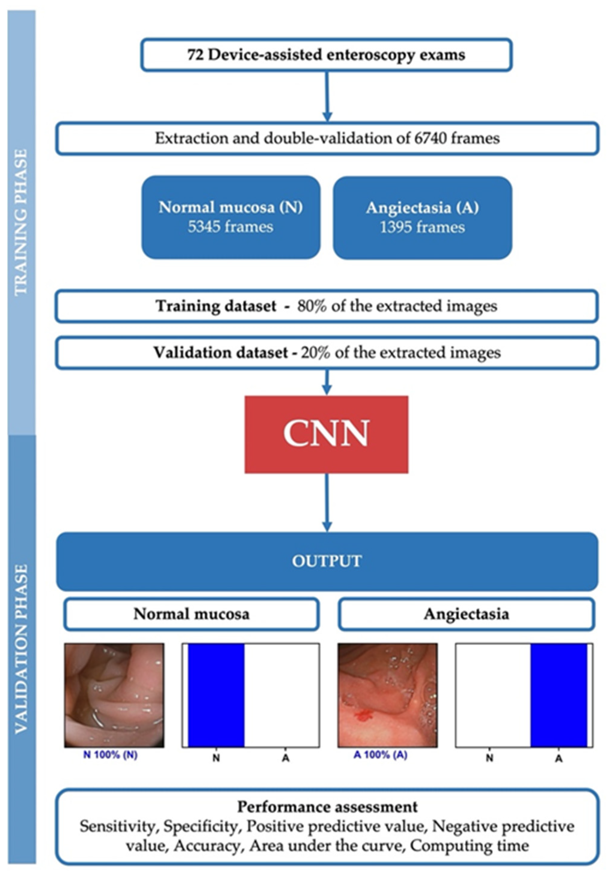 Medicina 57 01378 g001