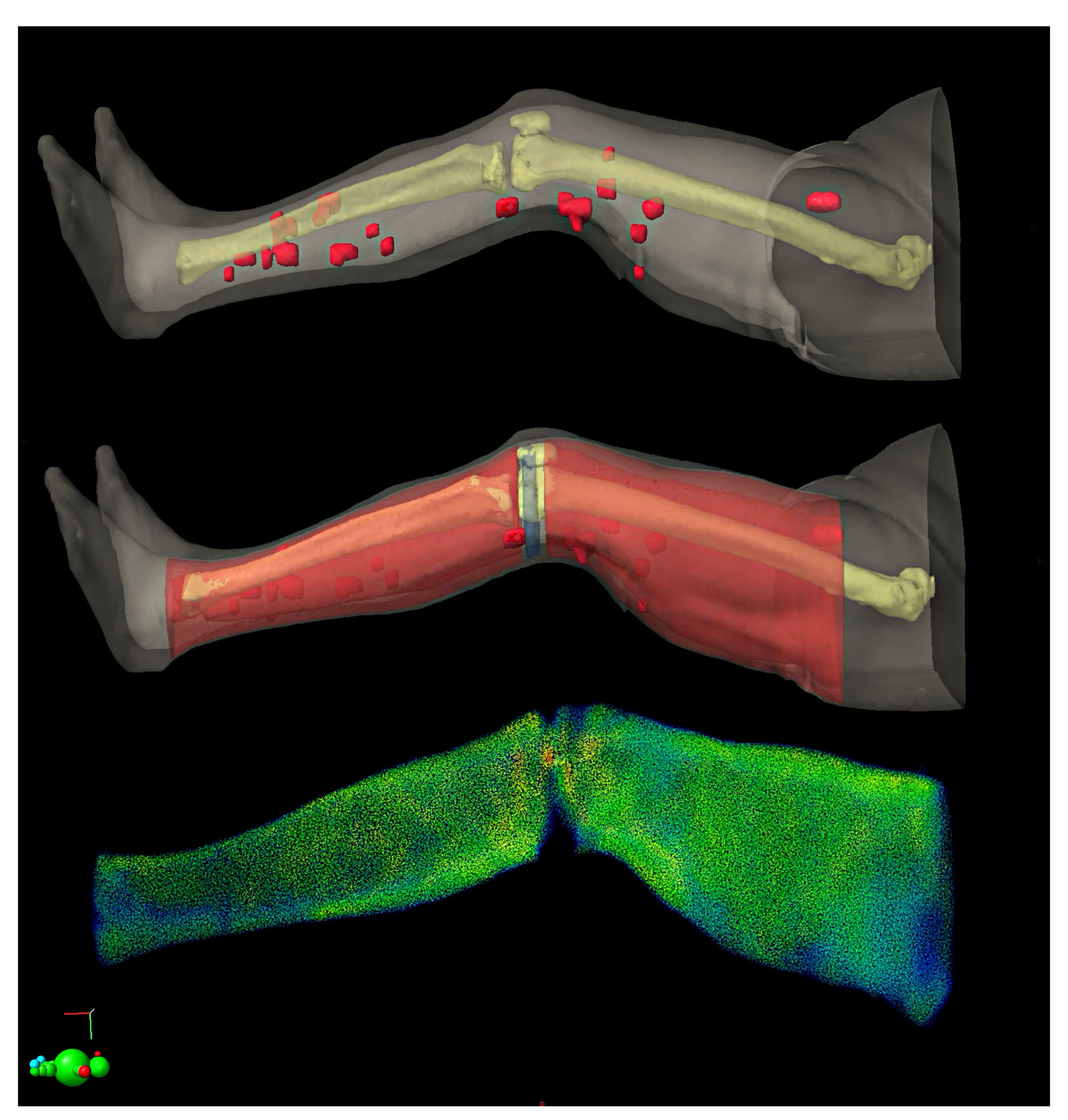 Medicina 57 01379 g002 Medicina 57 01379 g002