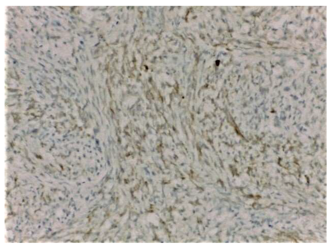 Medicina 58 00036 g004 Medicina 58 00036 g004