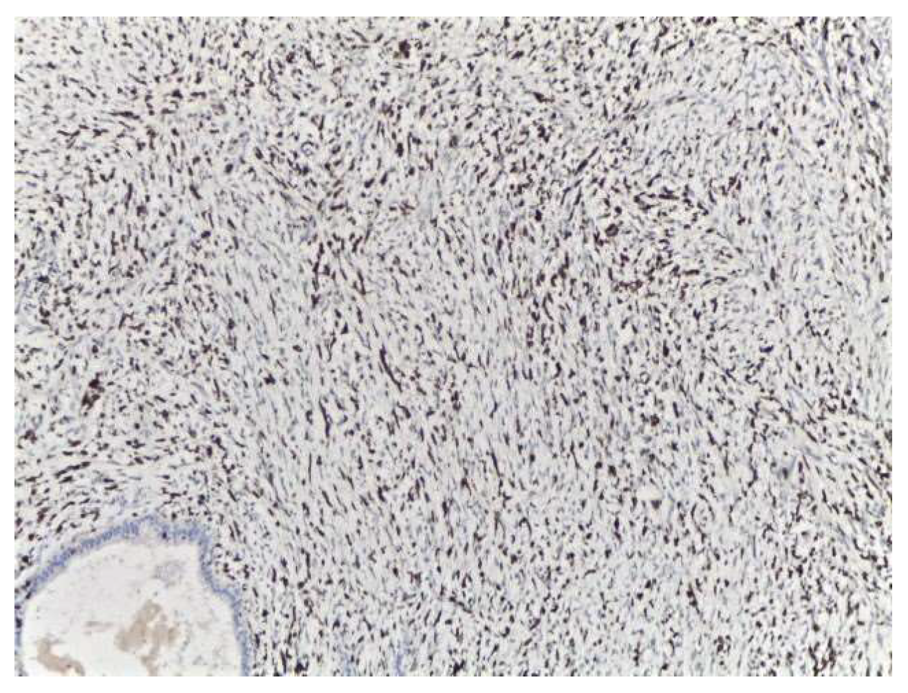 Medicina 58 00036 g007 Medicina 58 00036 g007