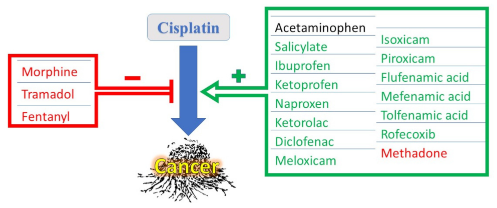 can meloxicam and ketorolac be taken together