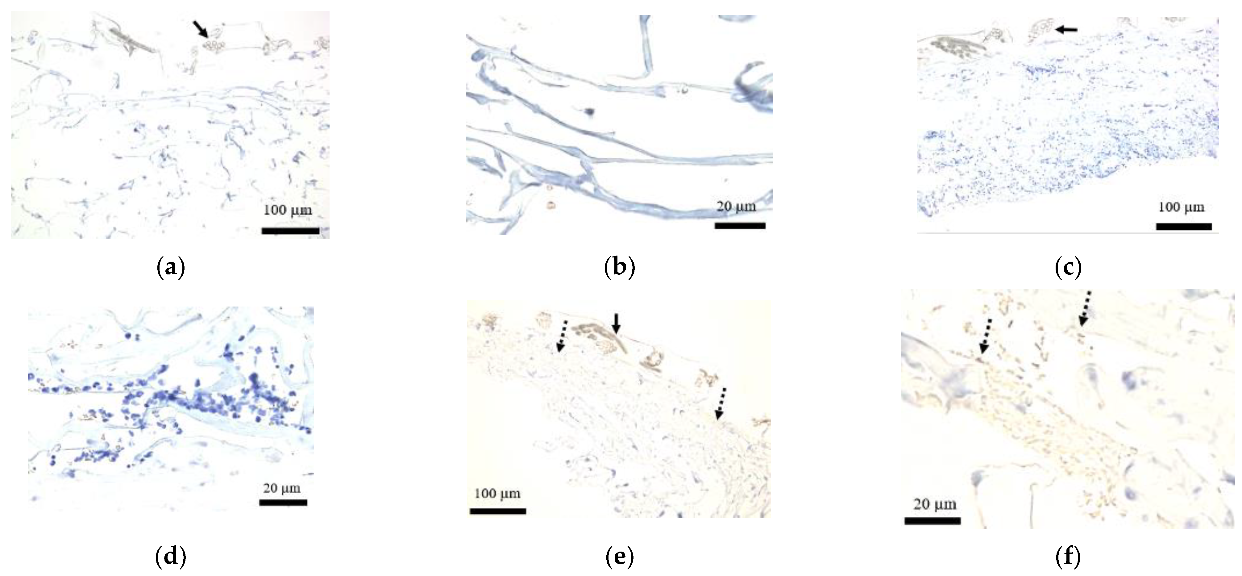 Medicina 58 00073 g006