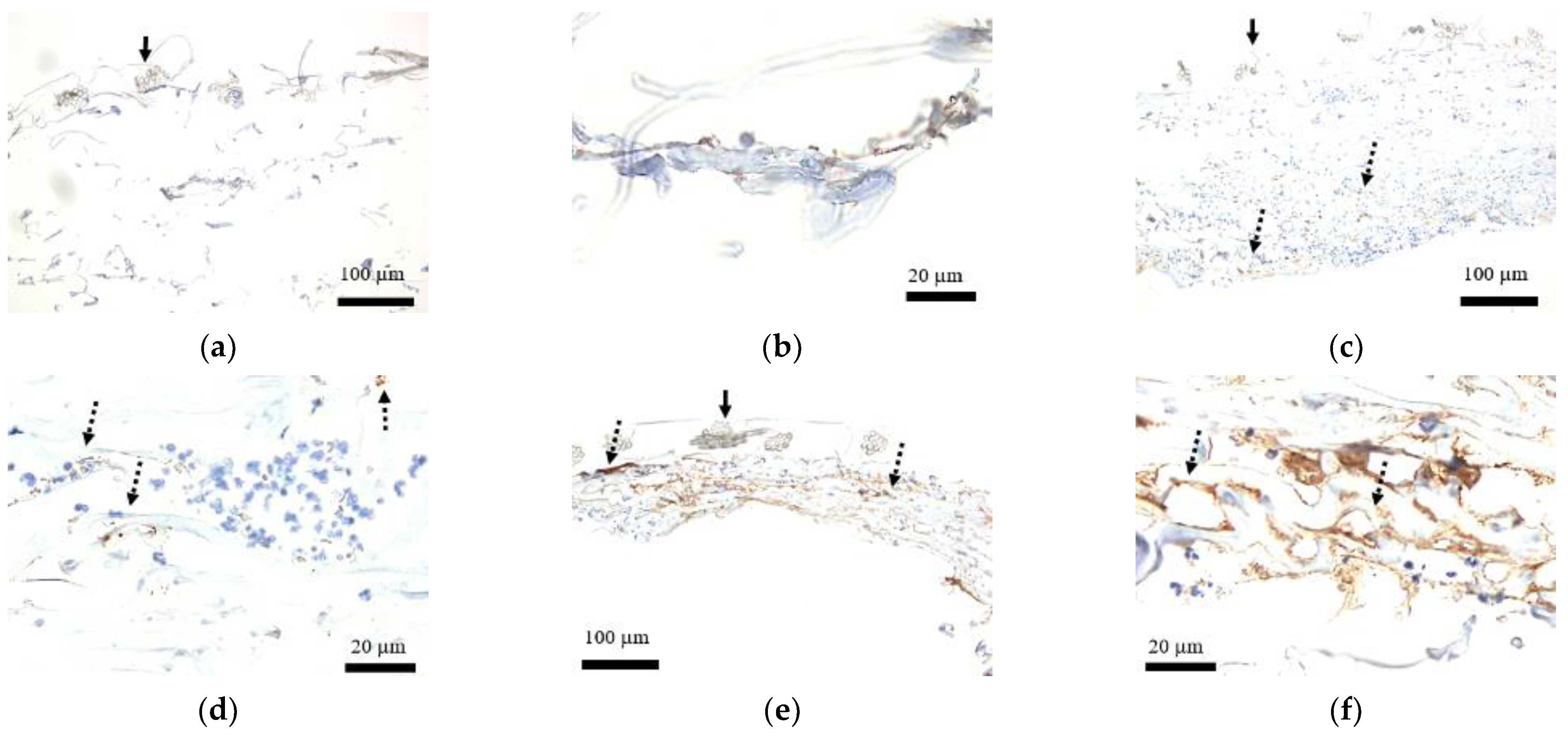 Medicina 58 00073 g007