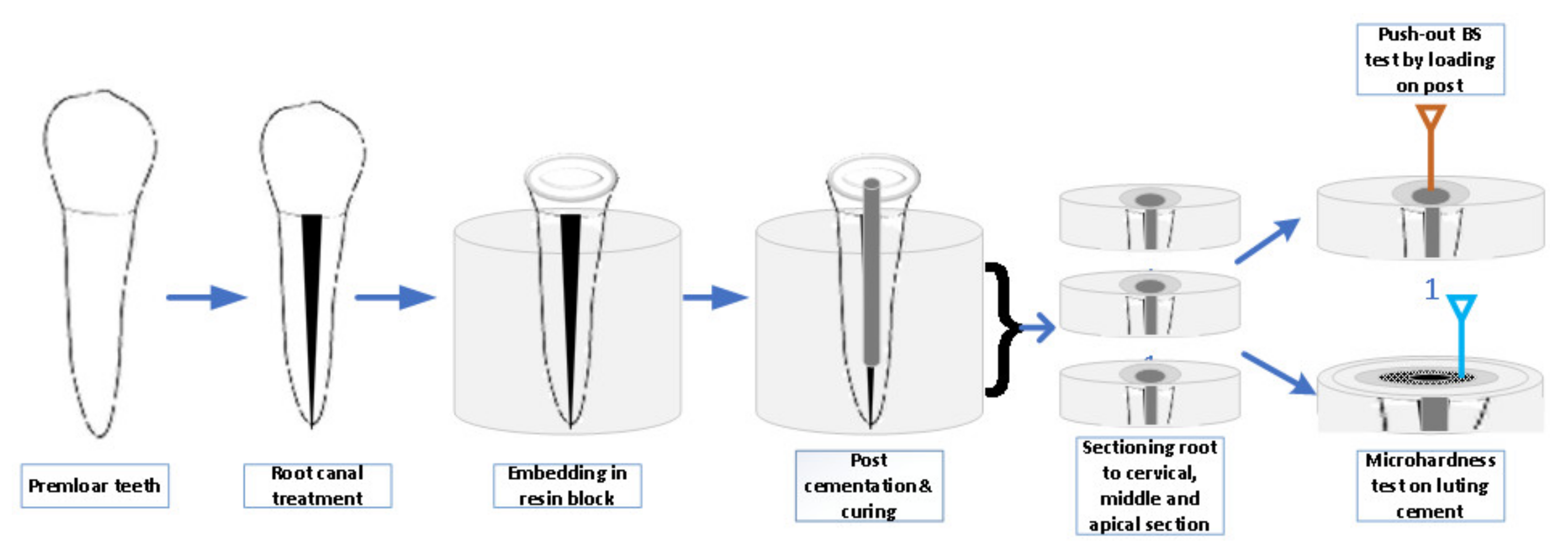 Medicina 58 00075 g002 Medicina 58 00075 g002
