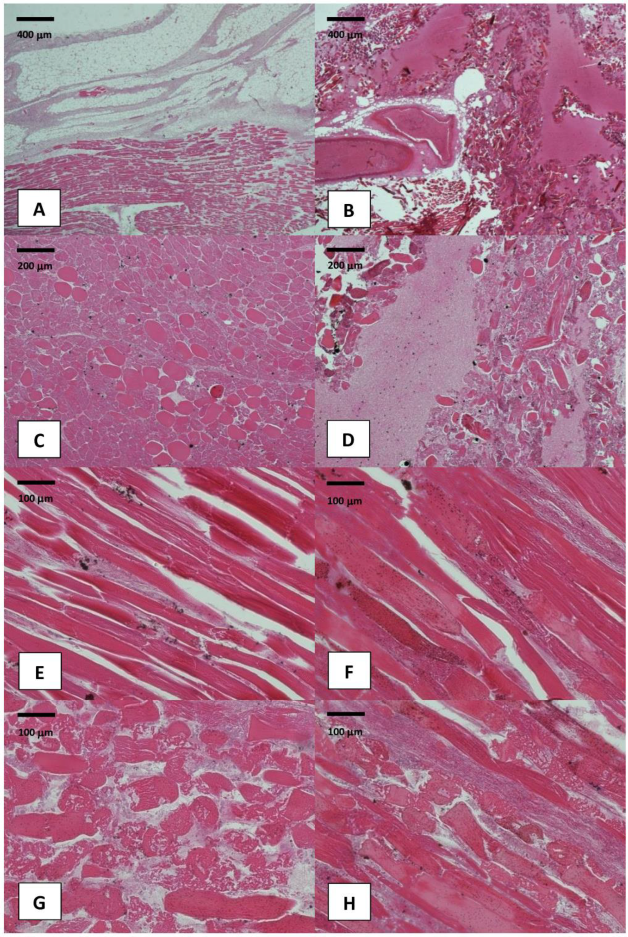 Medicina 58 00131 g005 Medicina 58 00131 g005