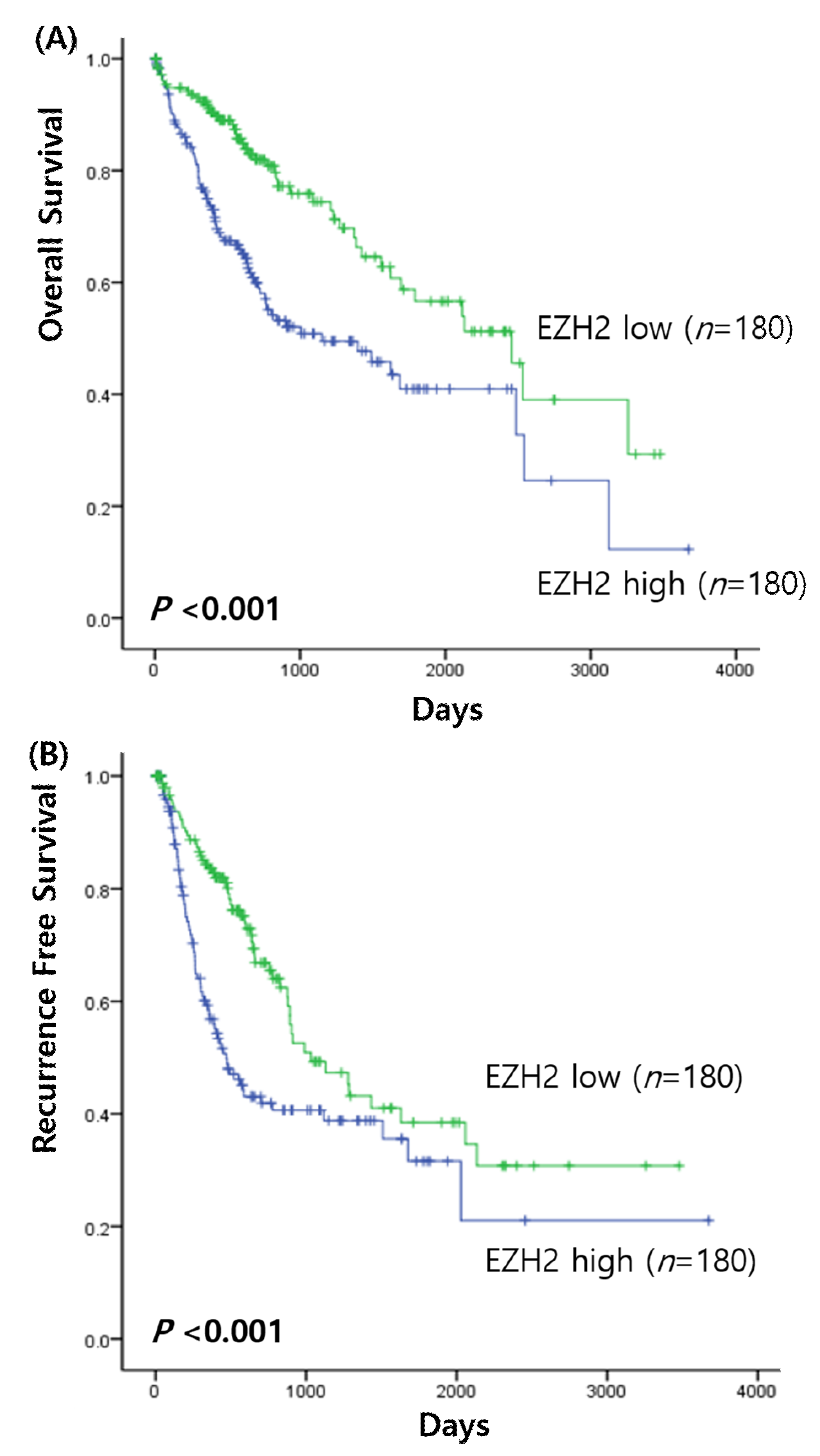 Medicina 58 00155 g001