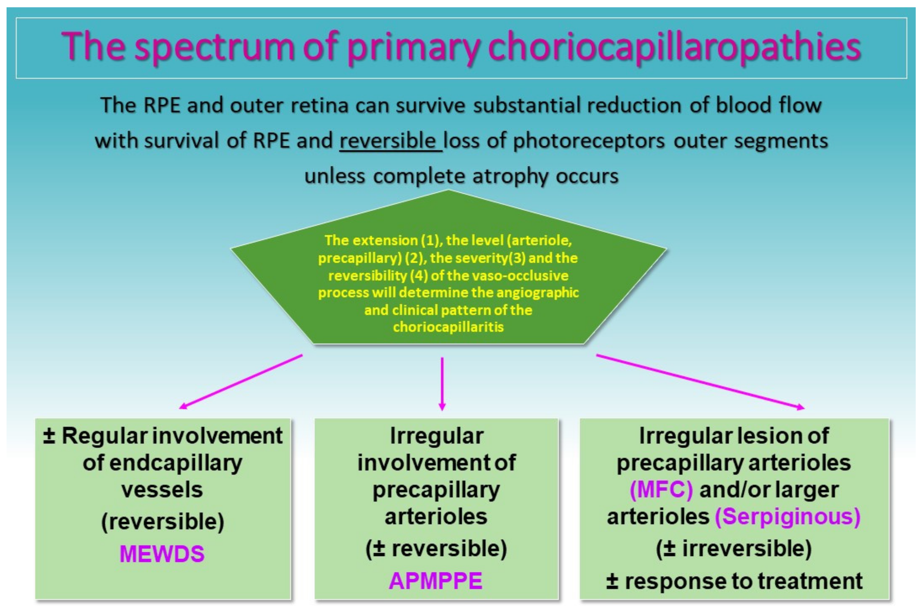 Medicina 58 00165 g007