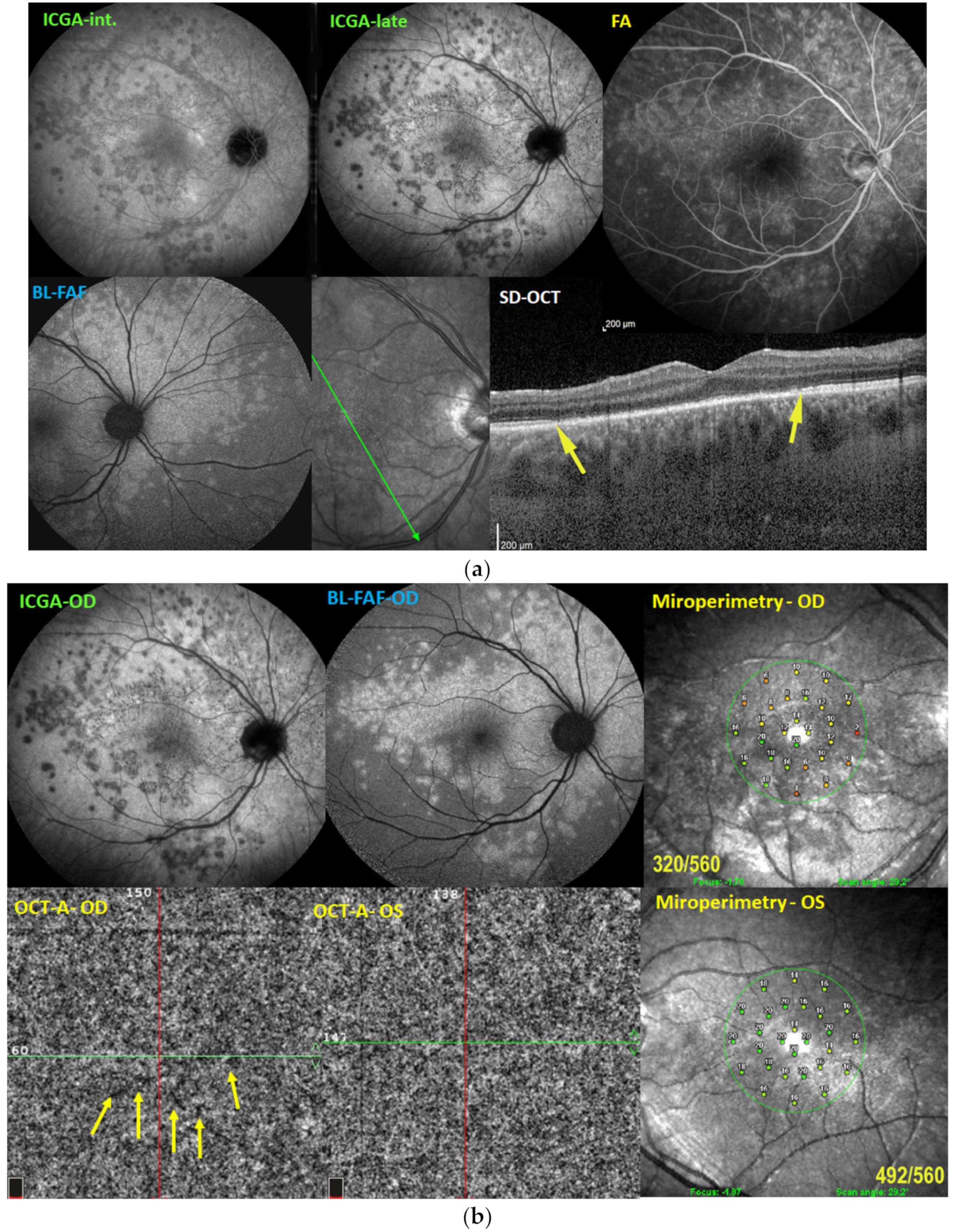 Medicina 58 00165 g008