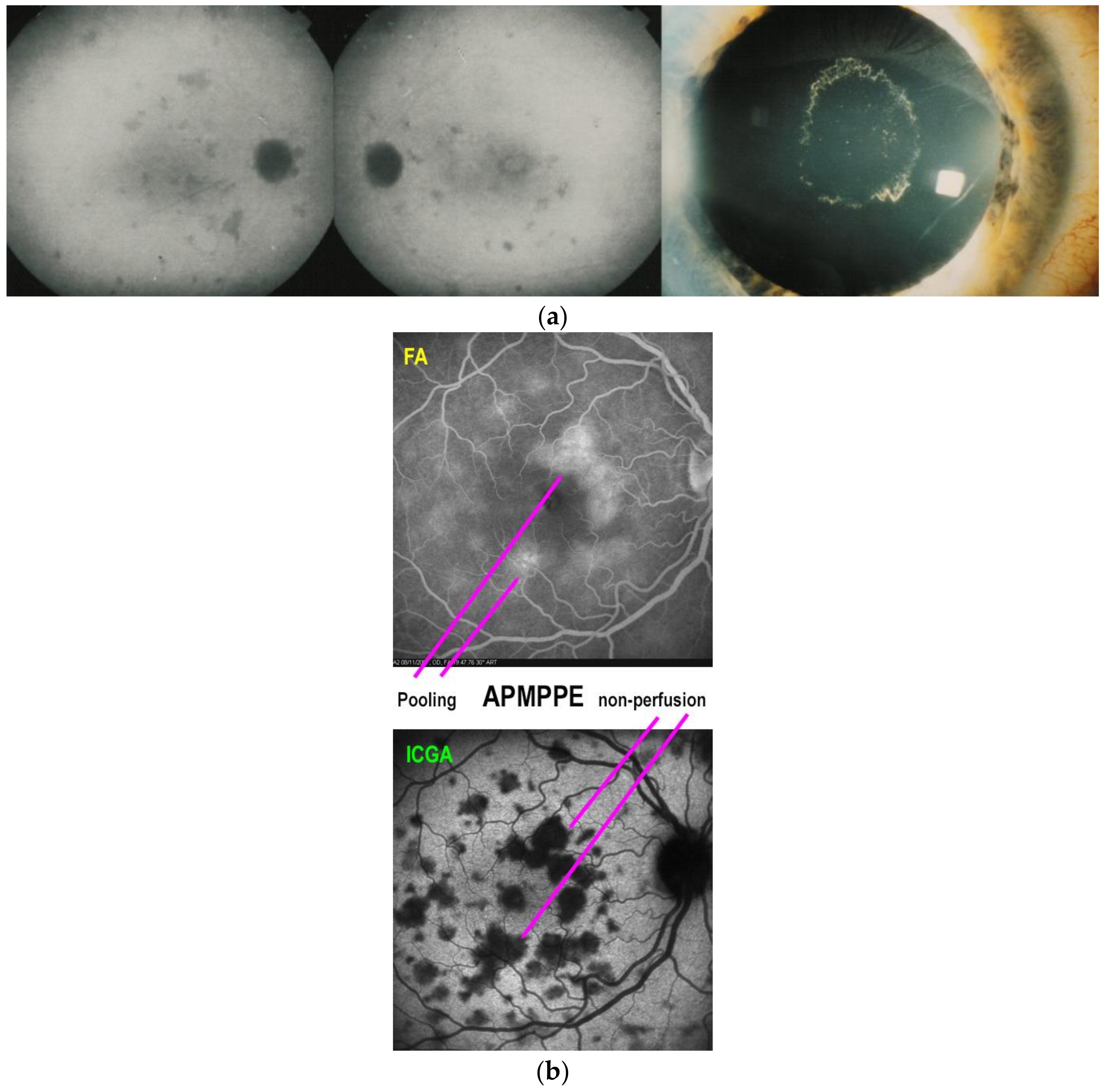Medicina 58 00165 g009
