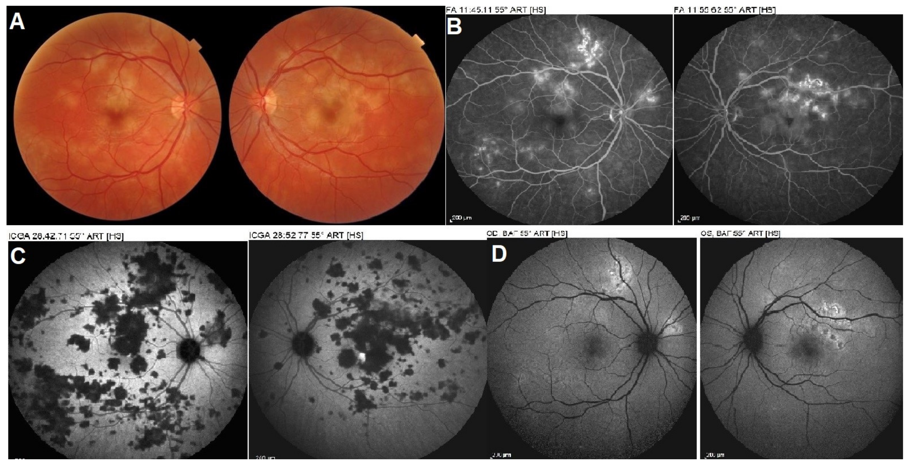 Medicina 58 00165 g011