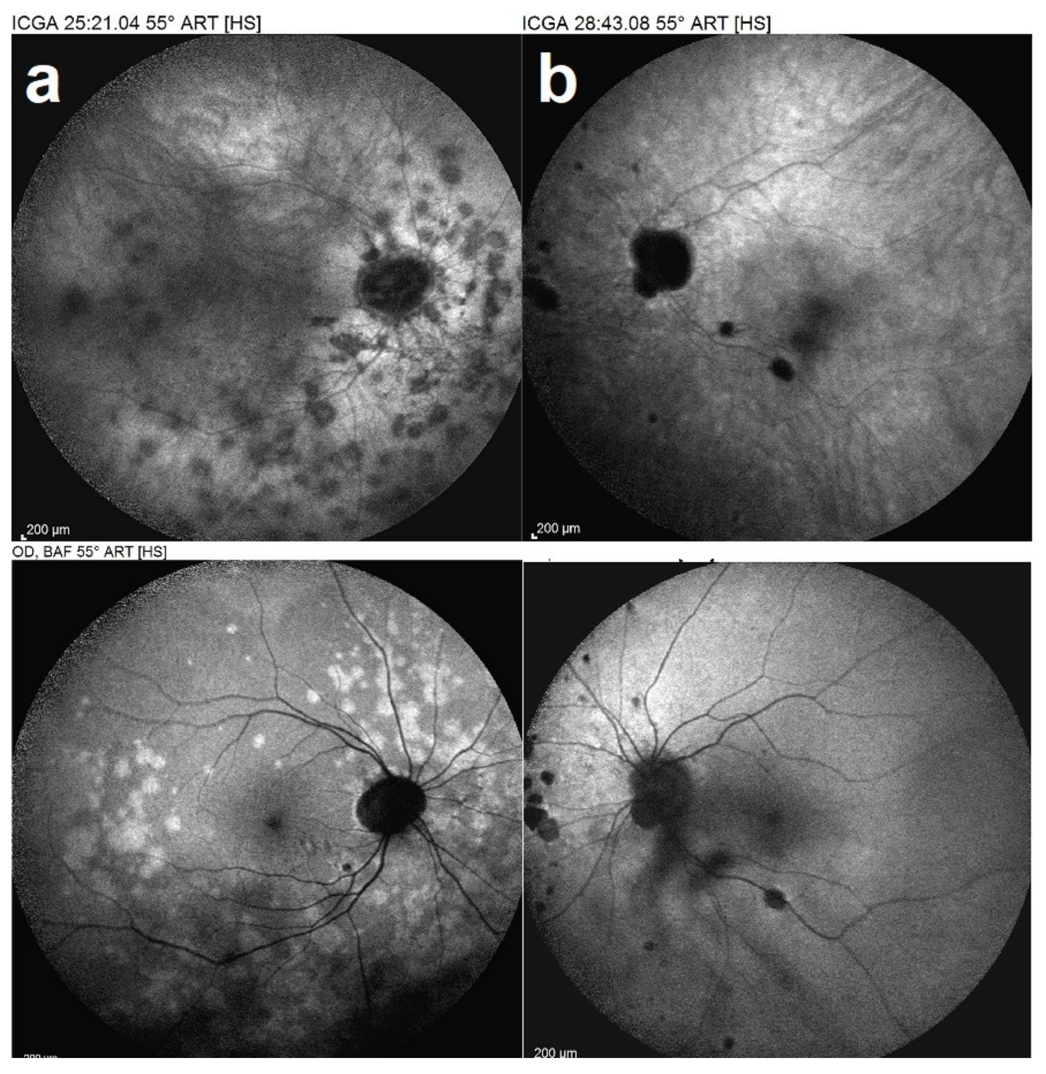 Medicina 58 00165 g013