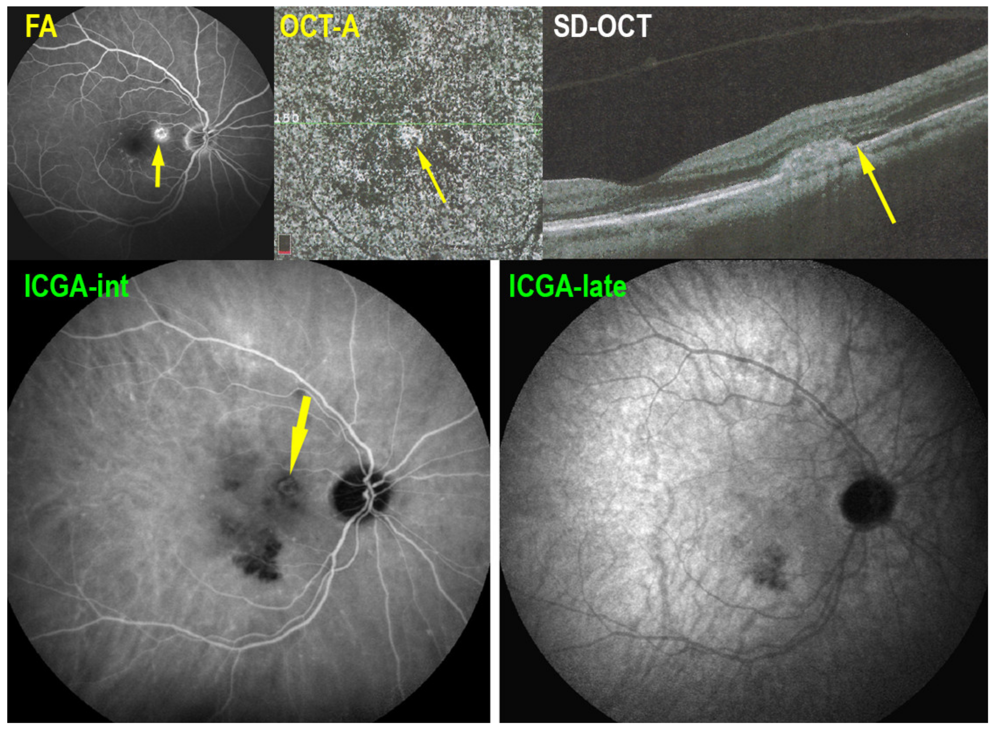 Medicina 58 00165 g018