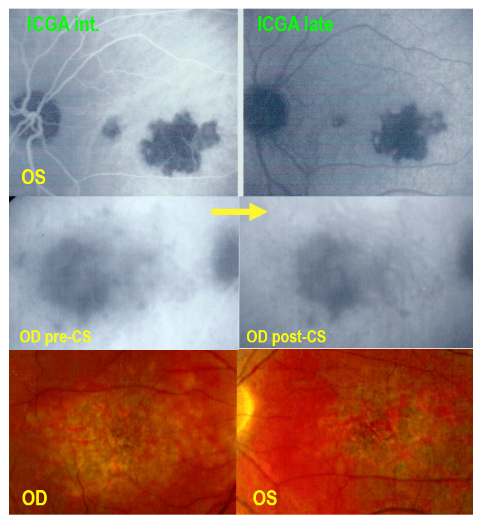 Medicina 58 00165 g020
