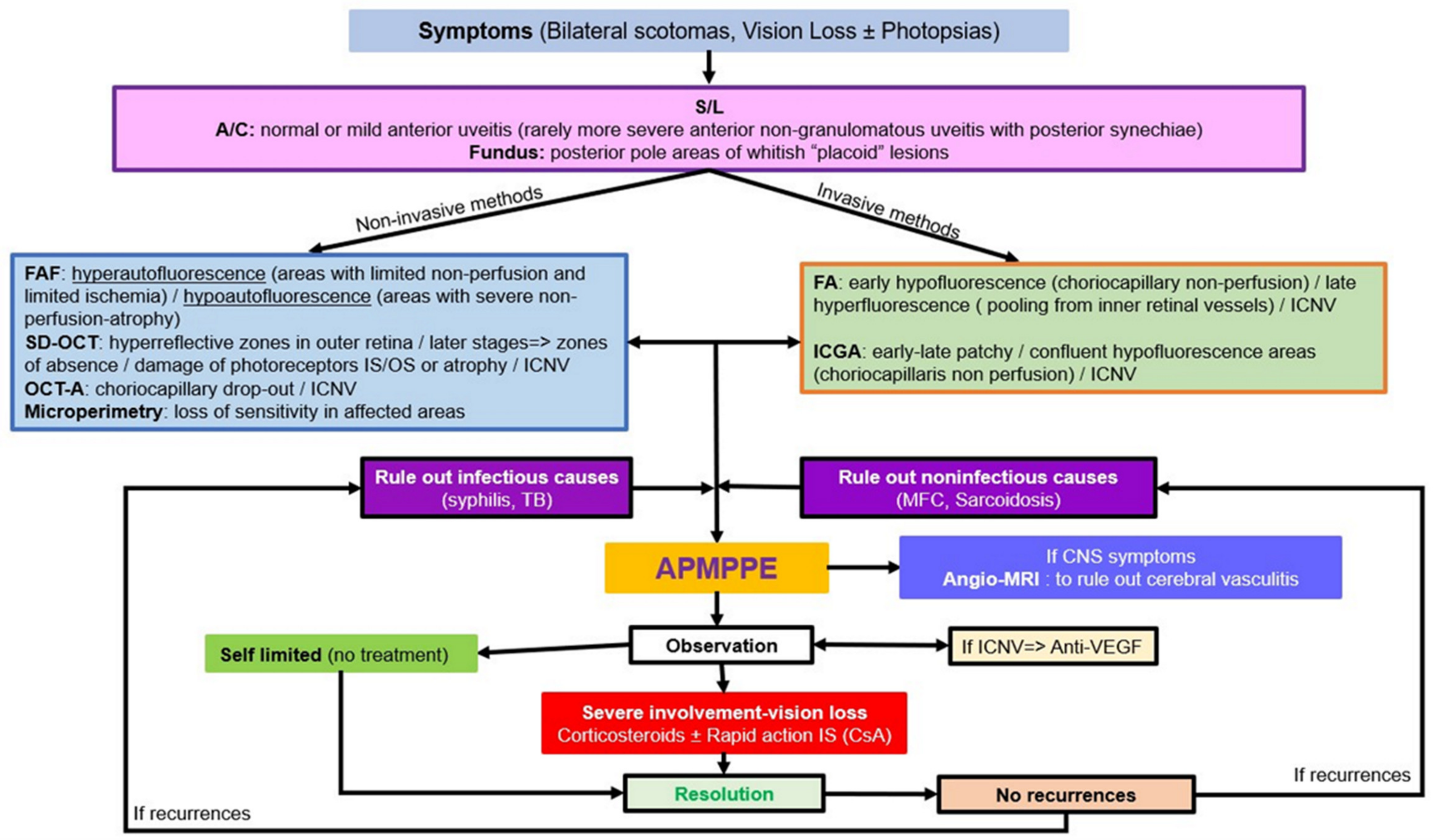 Medicina 58 00165 sch002