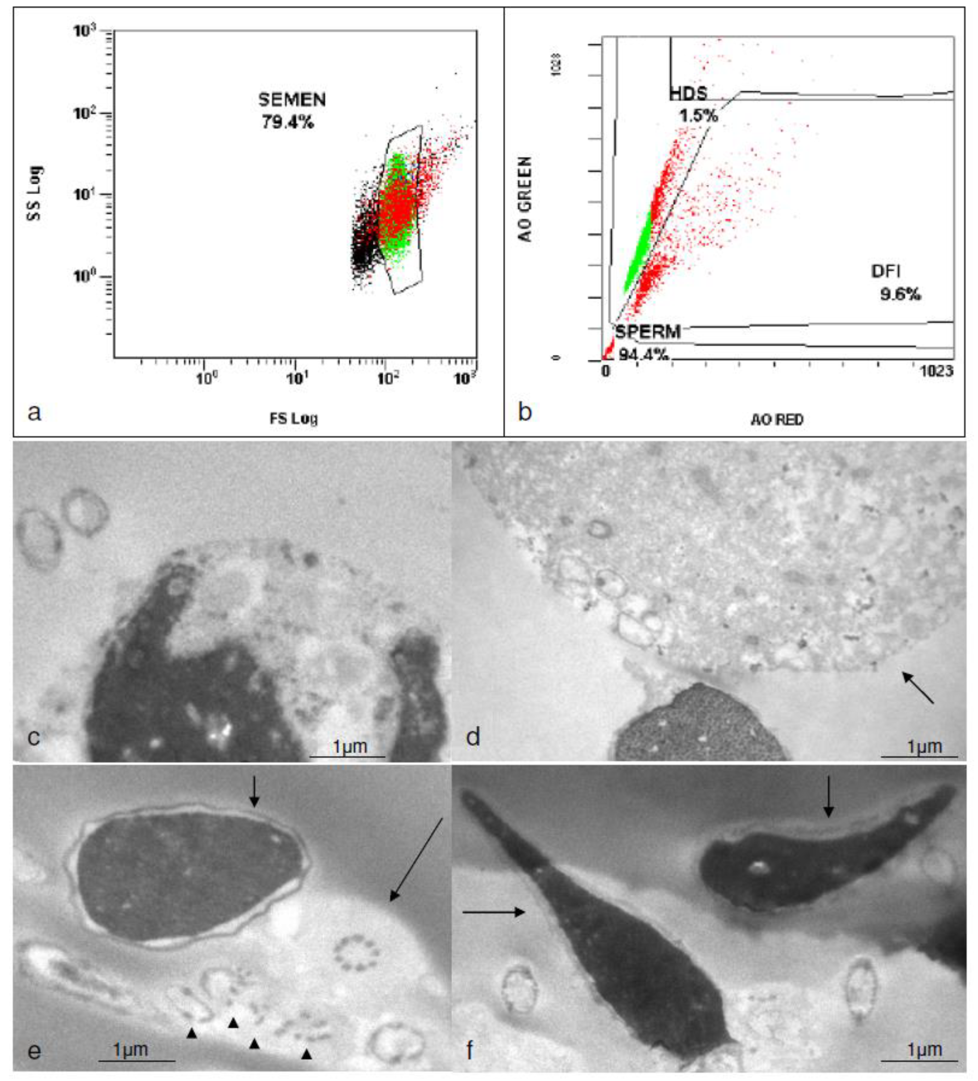 Medicina 58 00173 g002