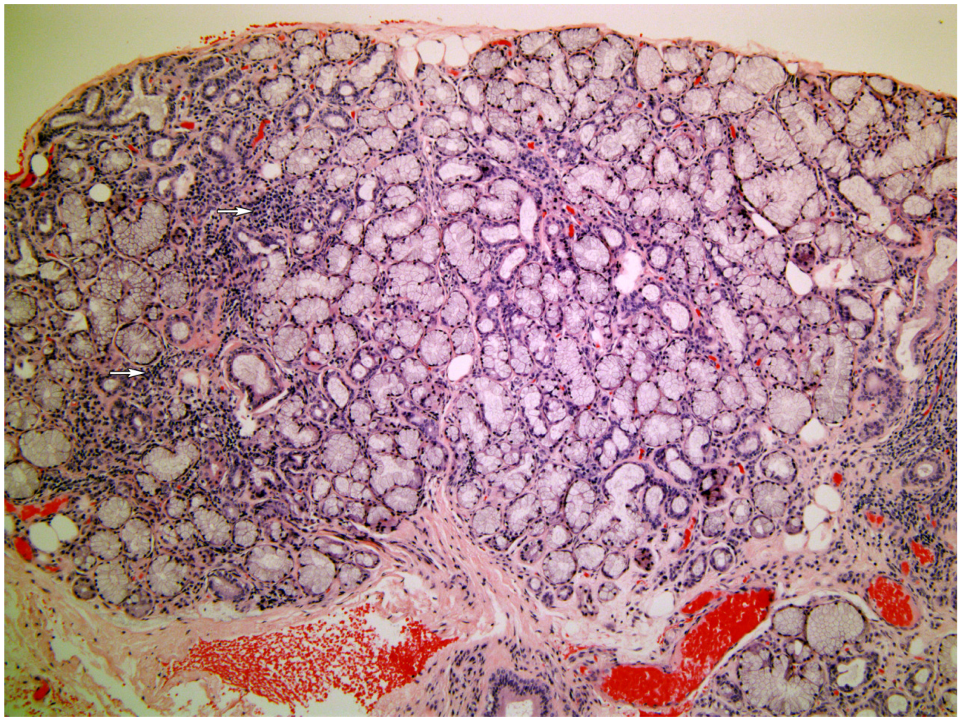 Medicina 58 00175 g002