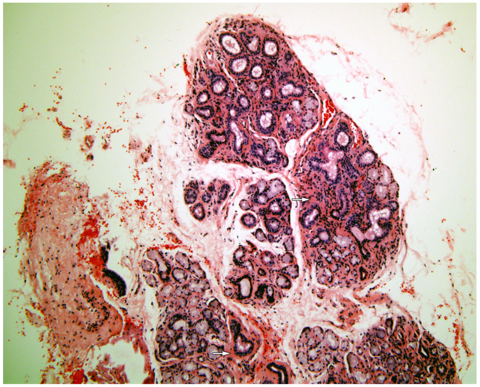 Medicina 58 00175 g004