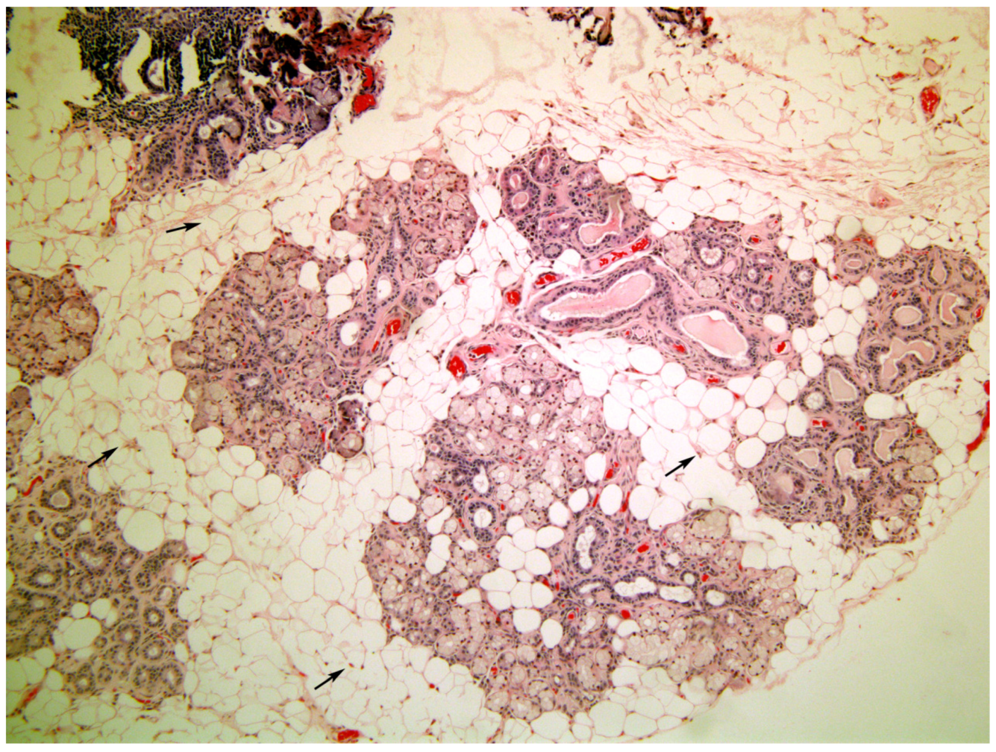 Medicina 58 00175 g005