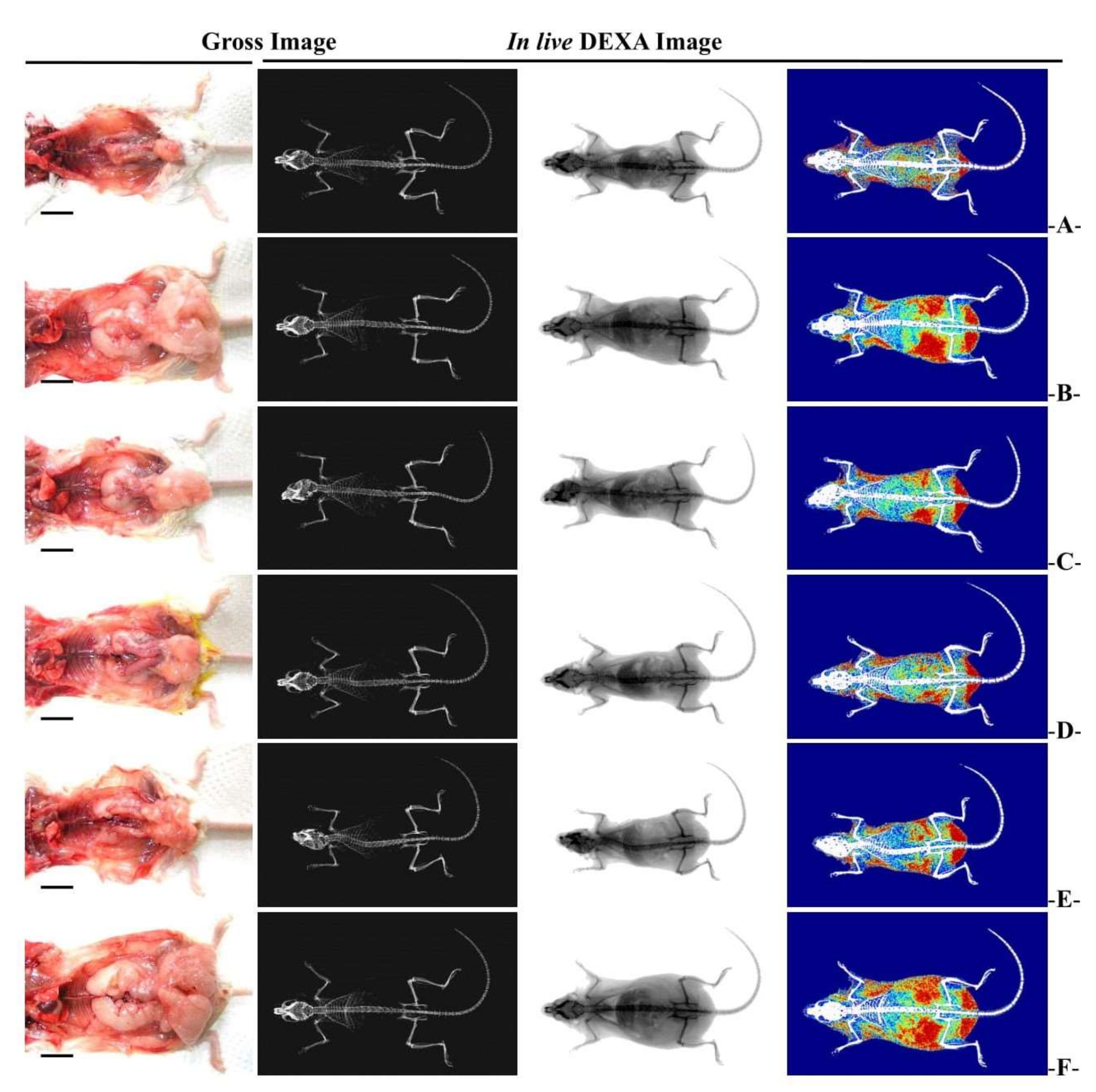Medicina 58 00189 g004